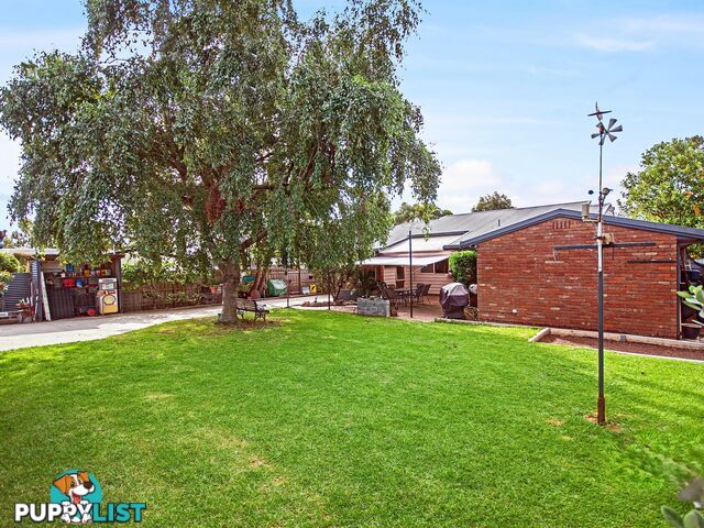 31 Pope Street BAIRNSDALE VIC 3875