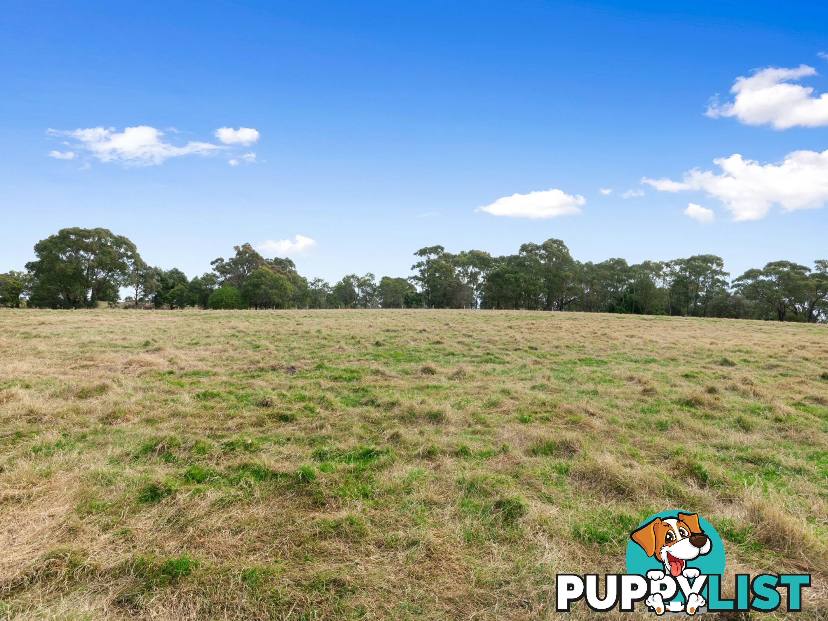 Lot 15/33 Varney Drive LINDENOW SOUTH VIC 3875