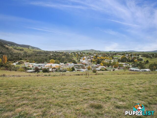 Lot Lot 63/11 Wills Street OMEO VIC 3898