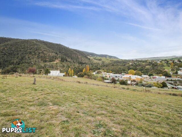 Lot Lot 63/11 Wills Street OMEO VIC 3898