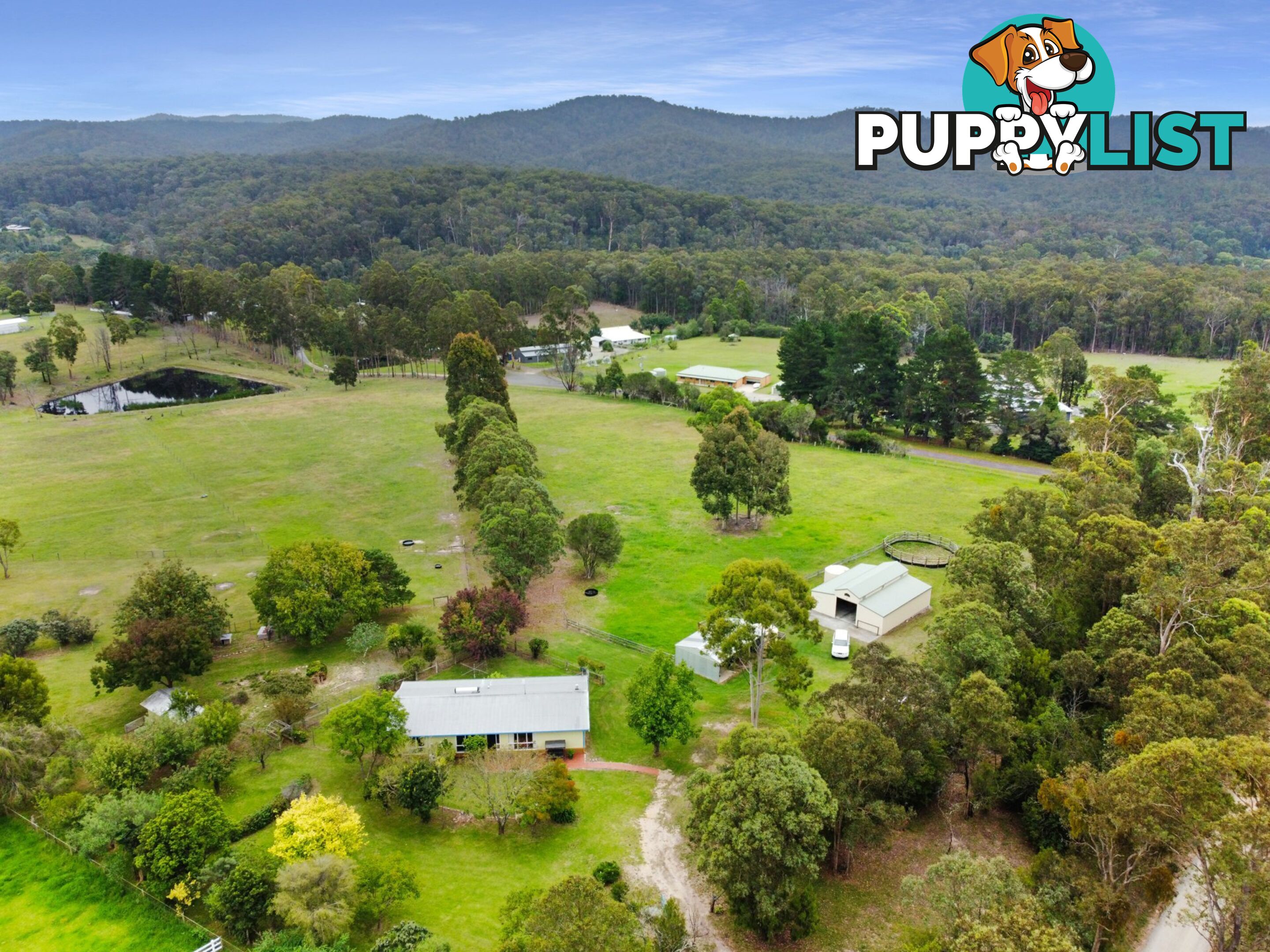 7 Mount Little Dick Road BRUTHEN VIC 3885