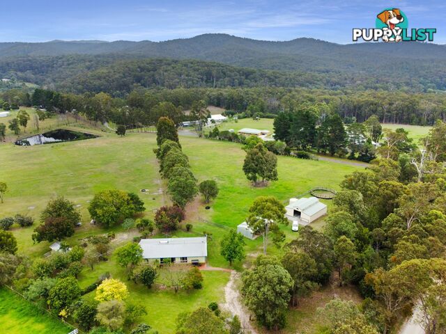 7 Mount Little Dick Road BRUTHEN VIC 3885