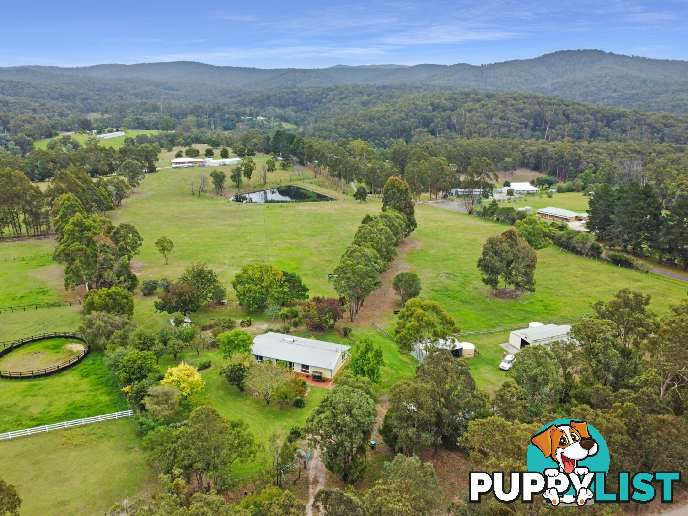 7 Mount Little Dick Road BRUTHEN VIC 3885