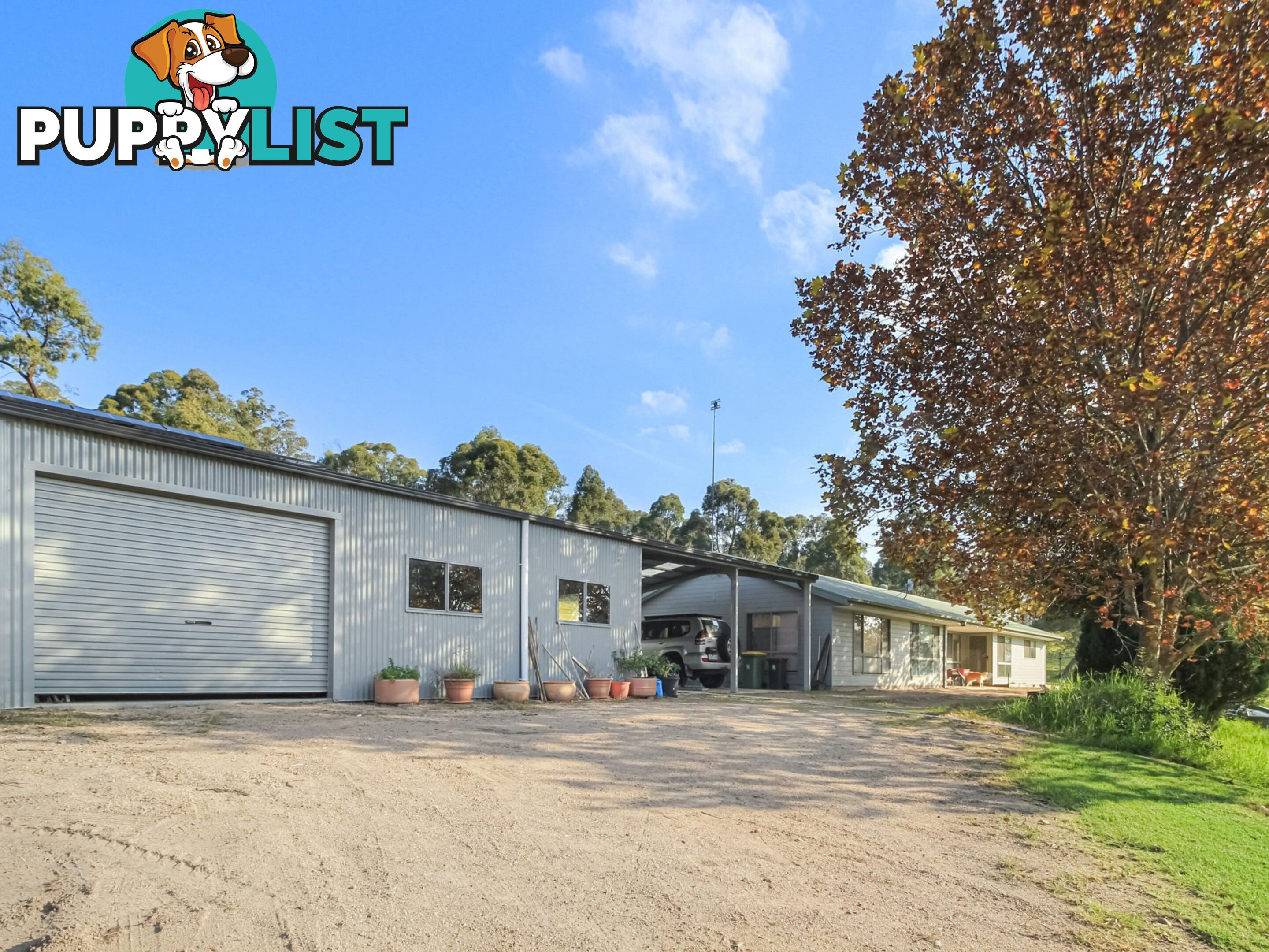 35 Crawford Court SARSFIELD VIC 3875