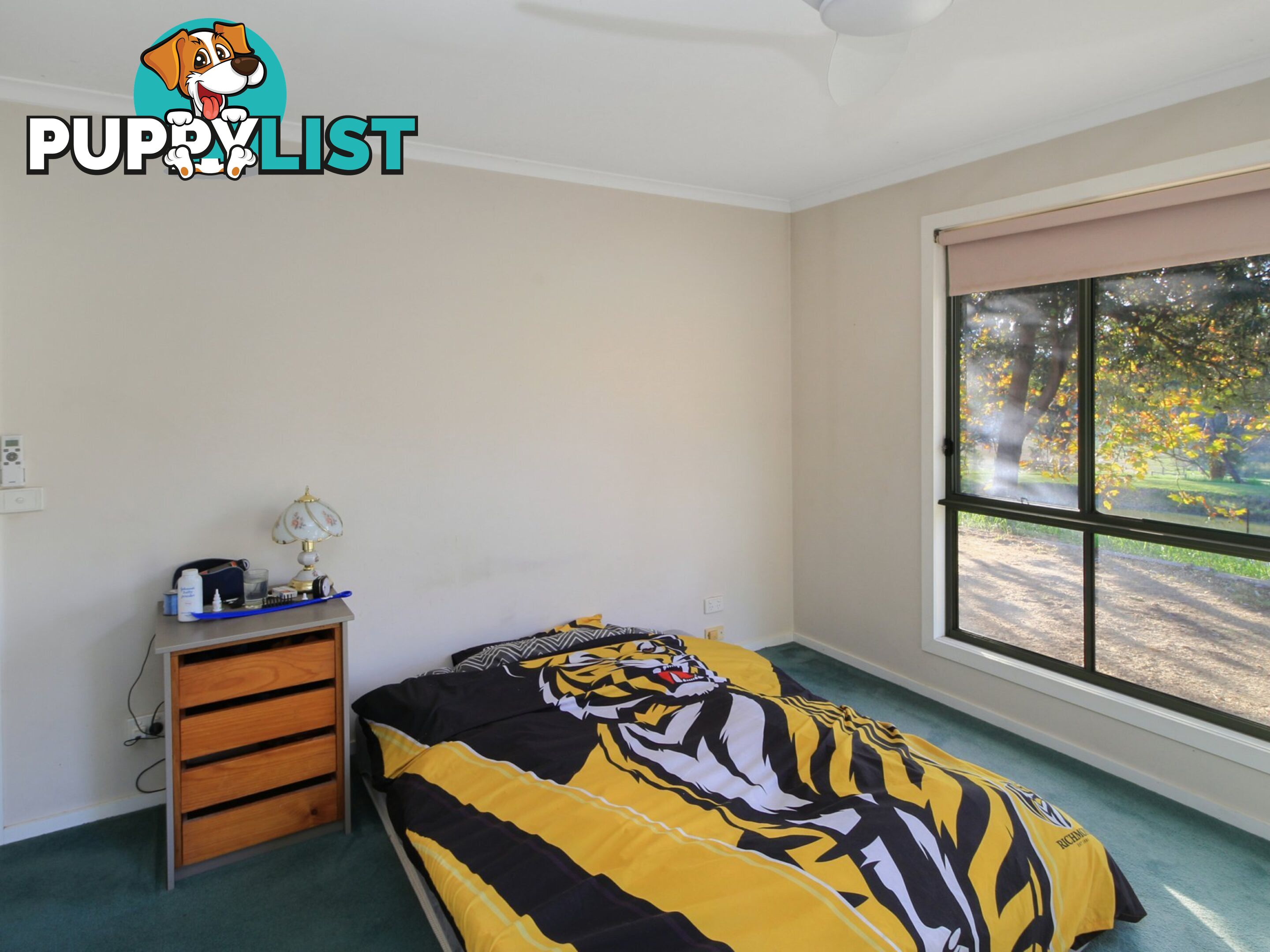 35 Crawford Court SARSFIELD VIC 3875