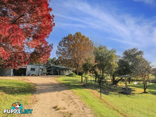 35 Crawford Court SARSFIELD VIC 3875