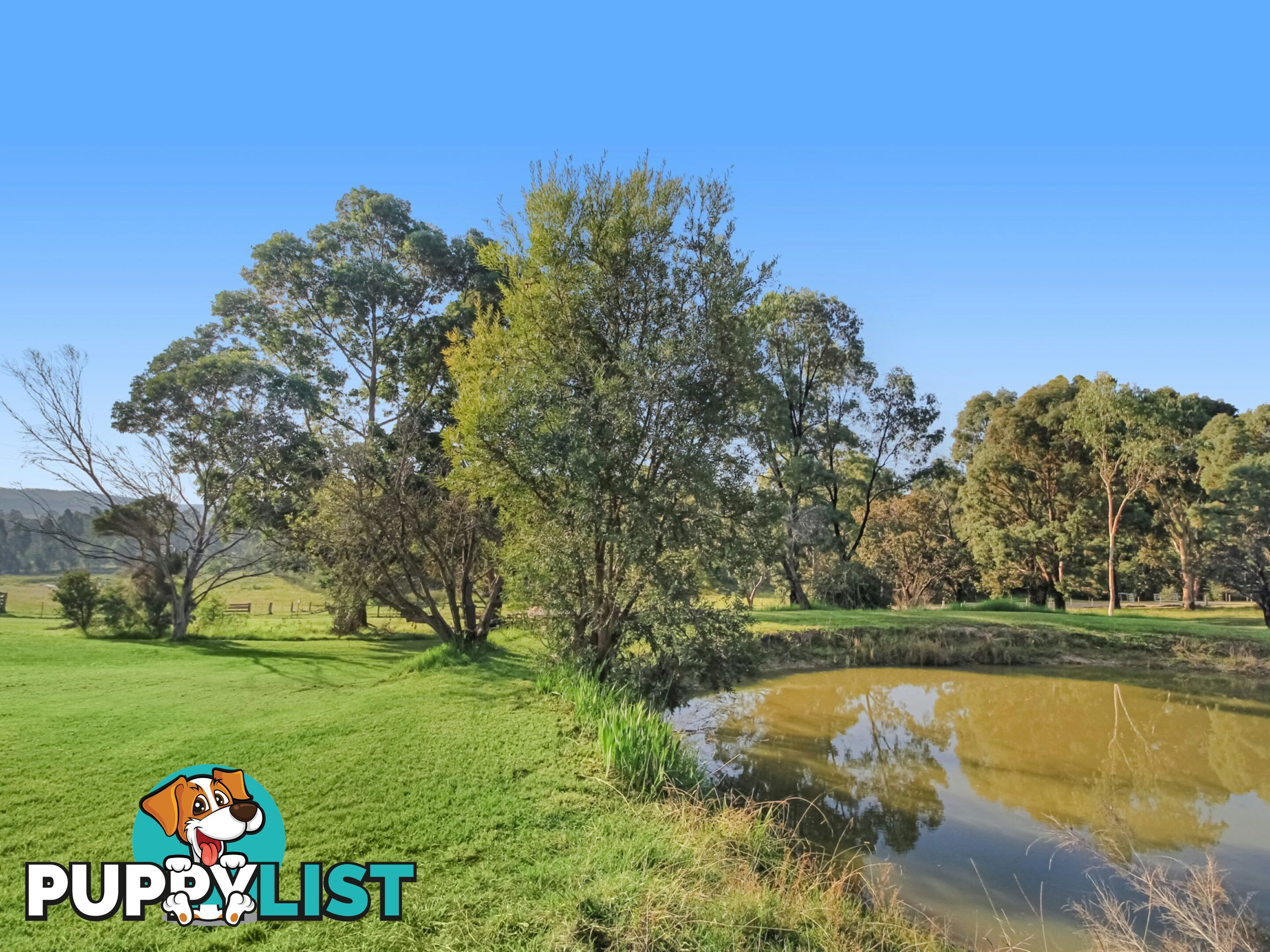 35 Crawford Court SARSFIELD VIC 3875