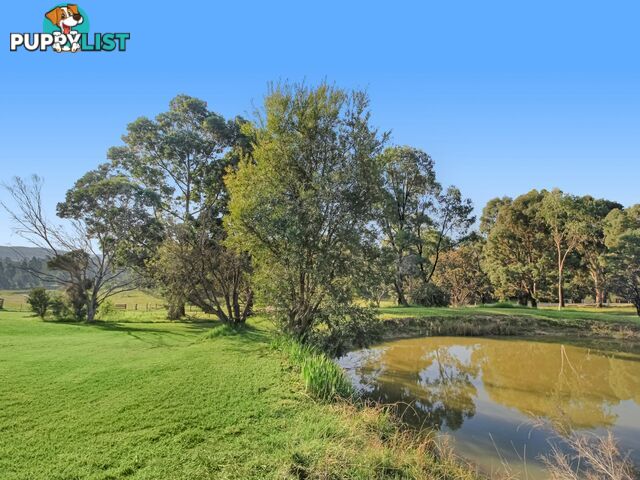 35 Crawford Court SARSFIELD VIC 3875