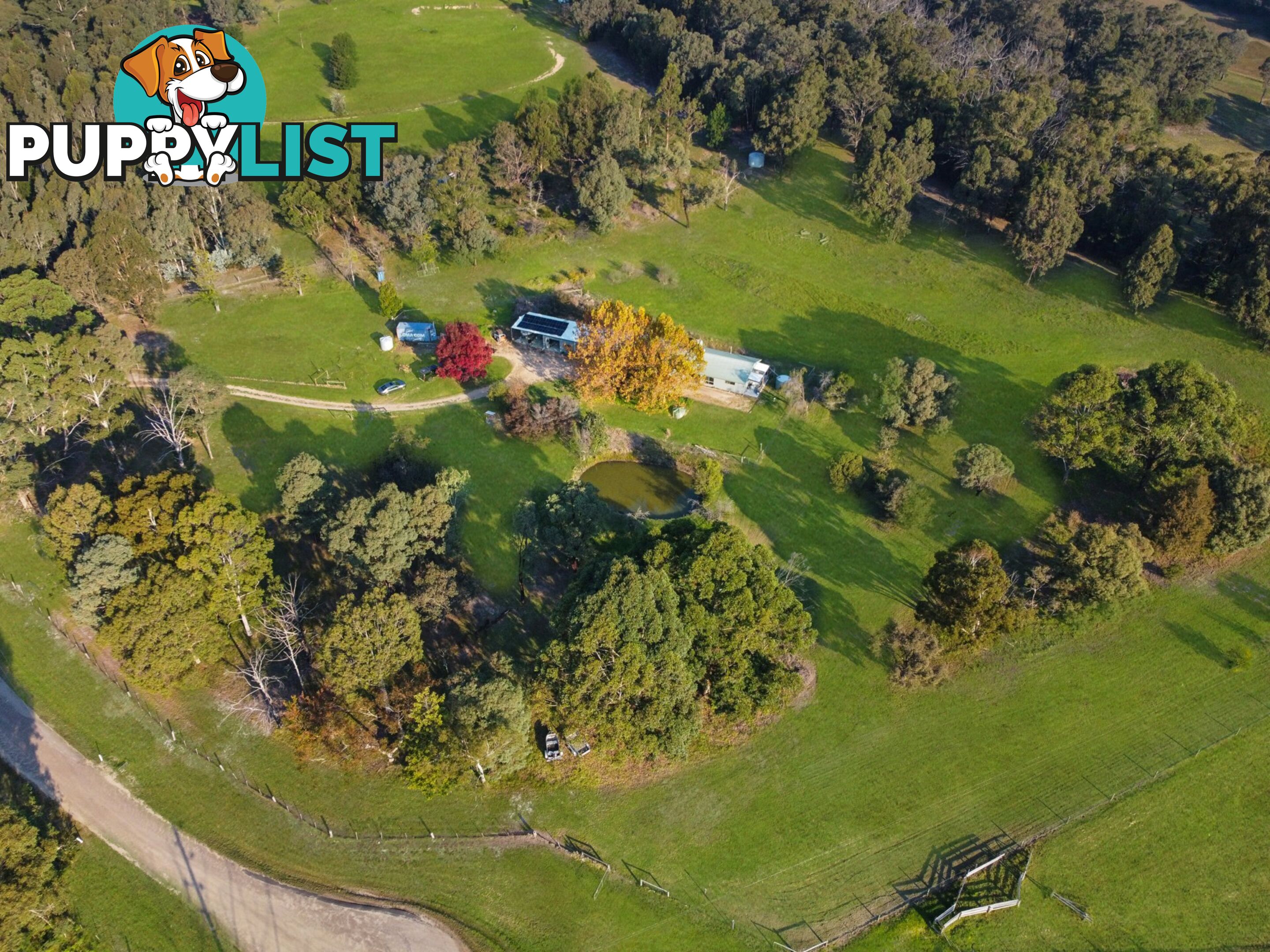 35 Crawford Court SARSFIELD VIC 3875