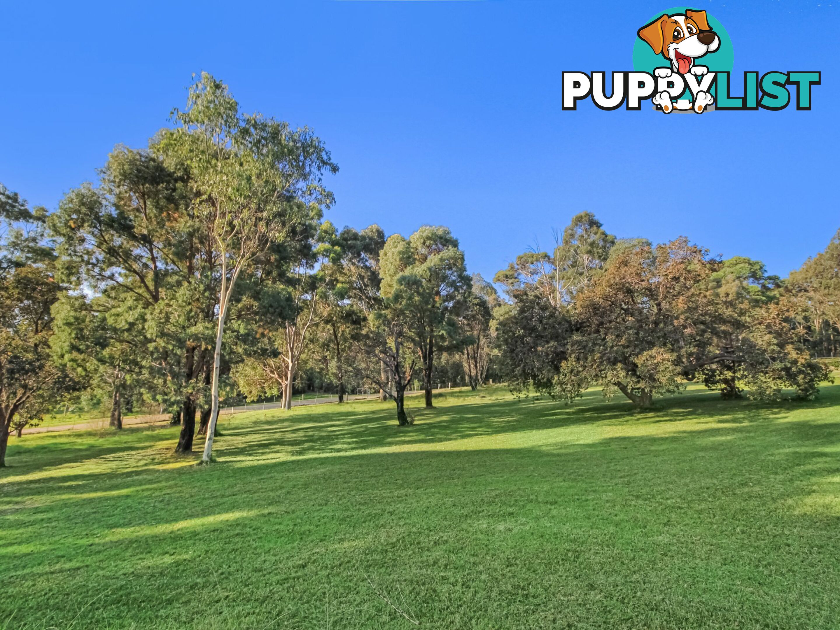 35 Crawford Court SARSFIELD VIC 3875