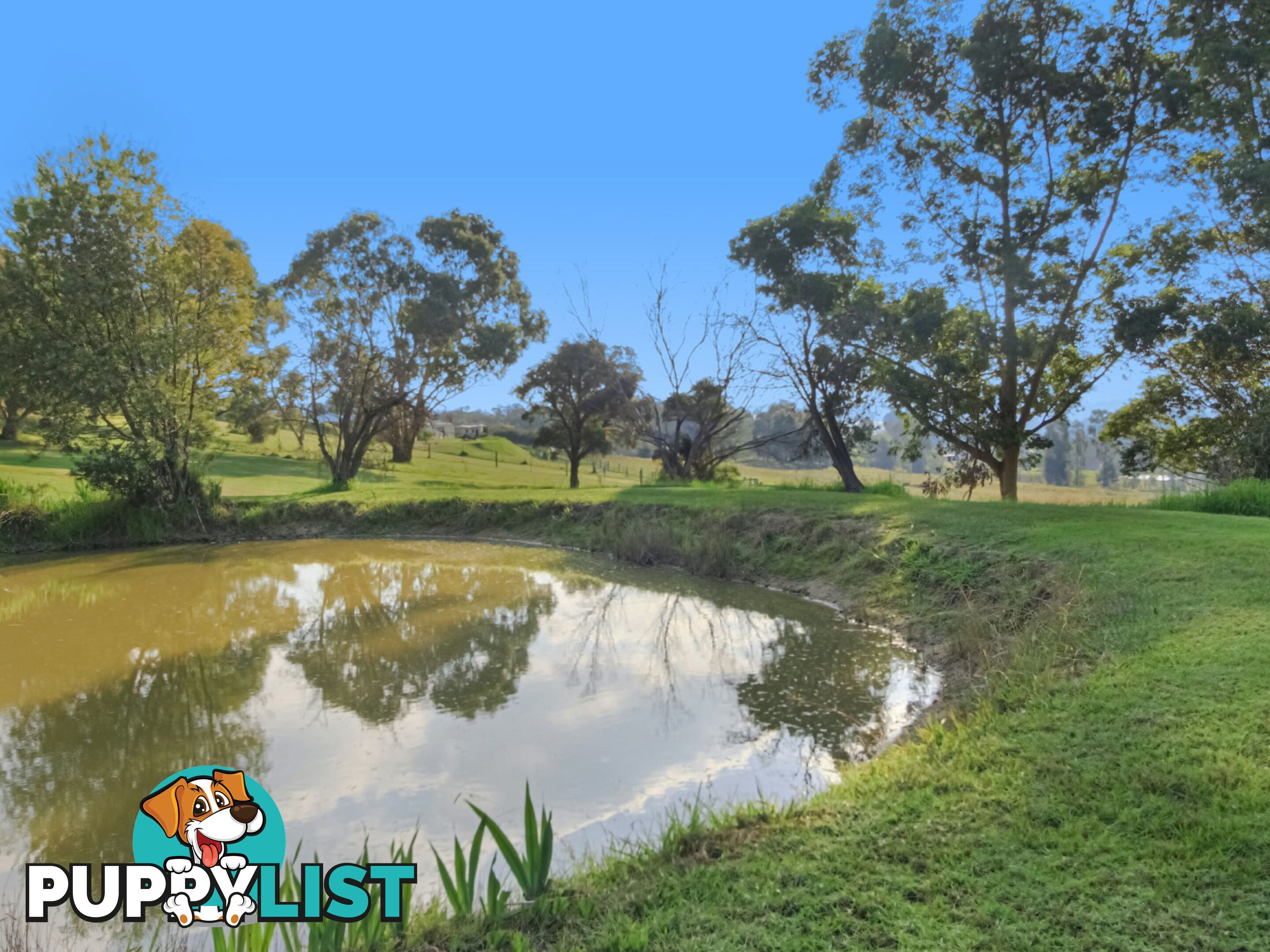 35 Crawford Court SARSFIELD VIC 3875