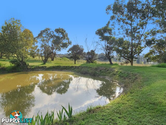 35 Crawford Court SARSFIELD VIC 3875