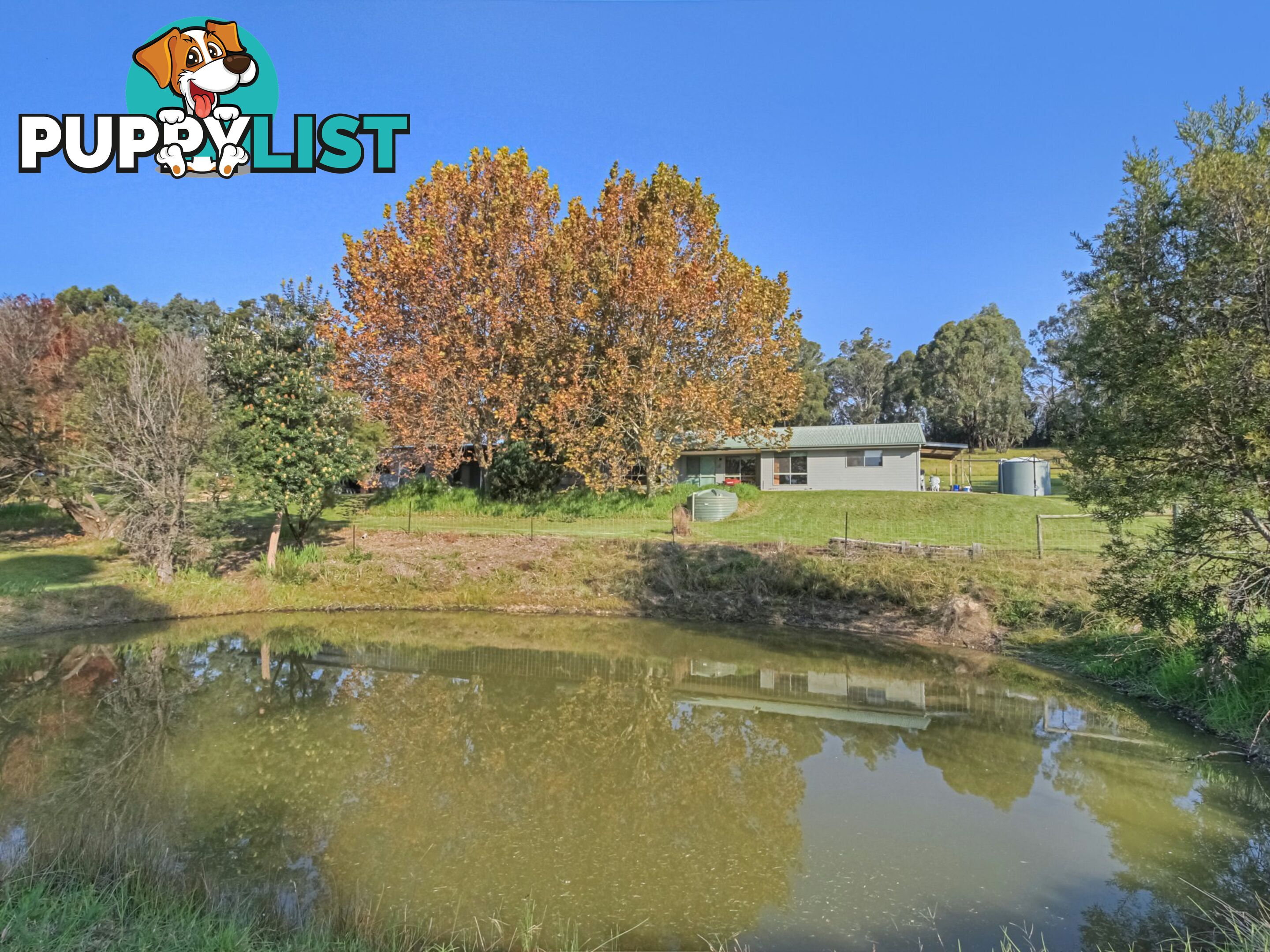 35 Crawford Court SARSFIELD VIC 3875