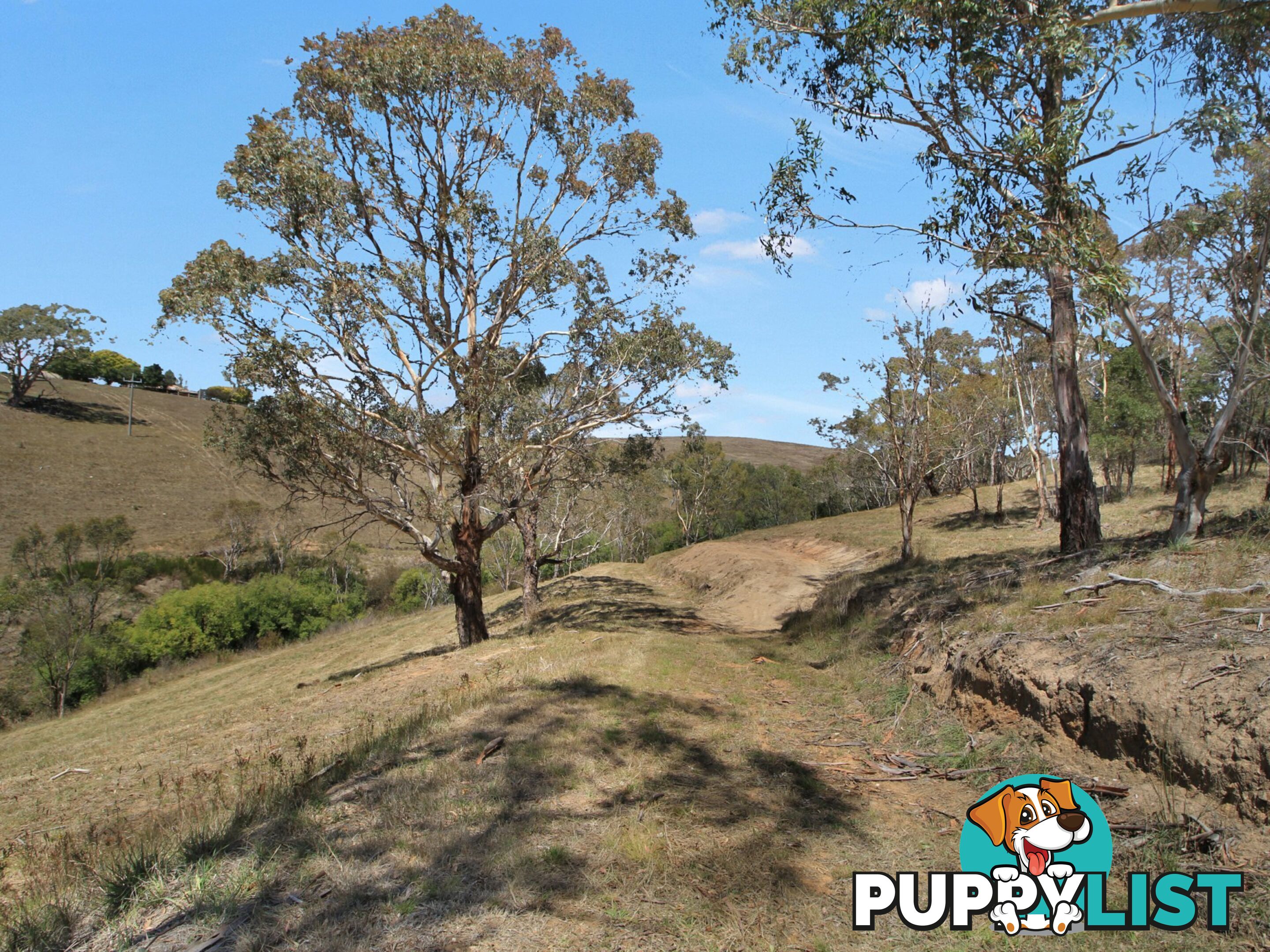 Lot 1/9320 Great Alpine Road OMEO VIC 3898