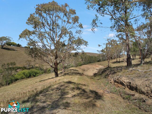 Lot 1/9320 Great Alpine Road OMEO VIC 3898