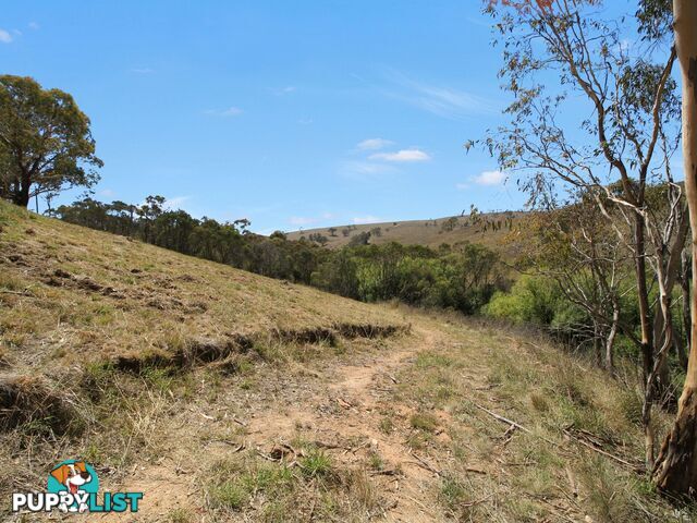 Lot 1/9320 Great Alpine Road OMEO VIC 3898