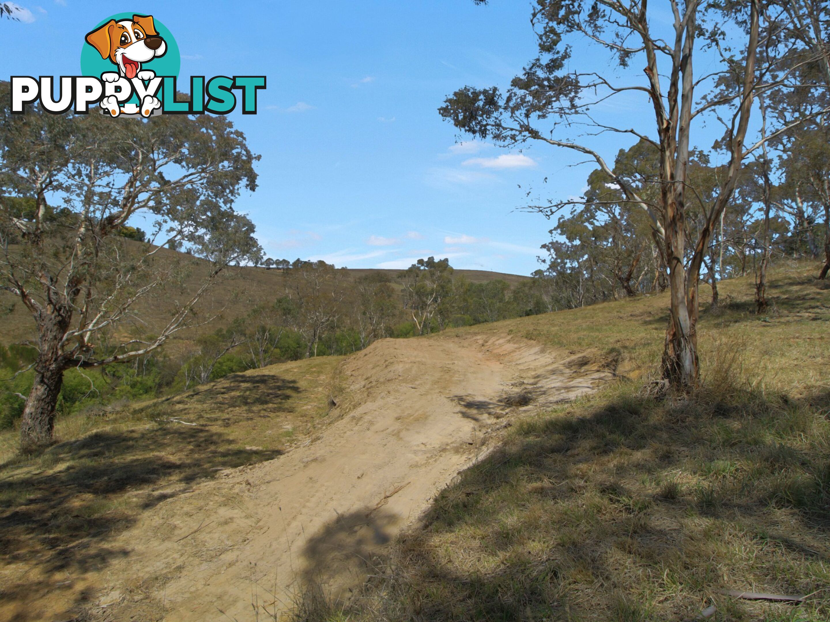 Lot 1/9320 Great Alpine Road OMEO VIC 3898