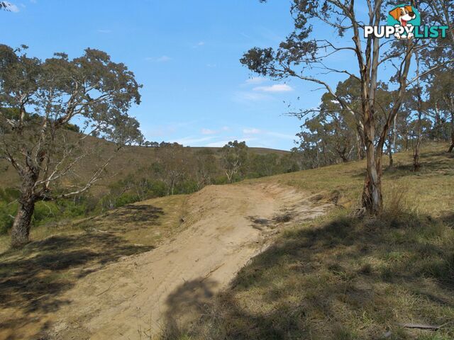 Lot 1/9320 Great Alpine Road OMEO VIC 3898