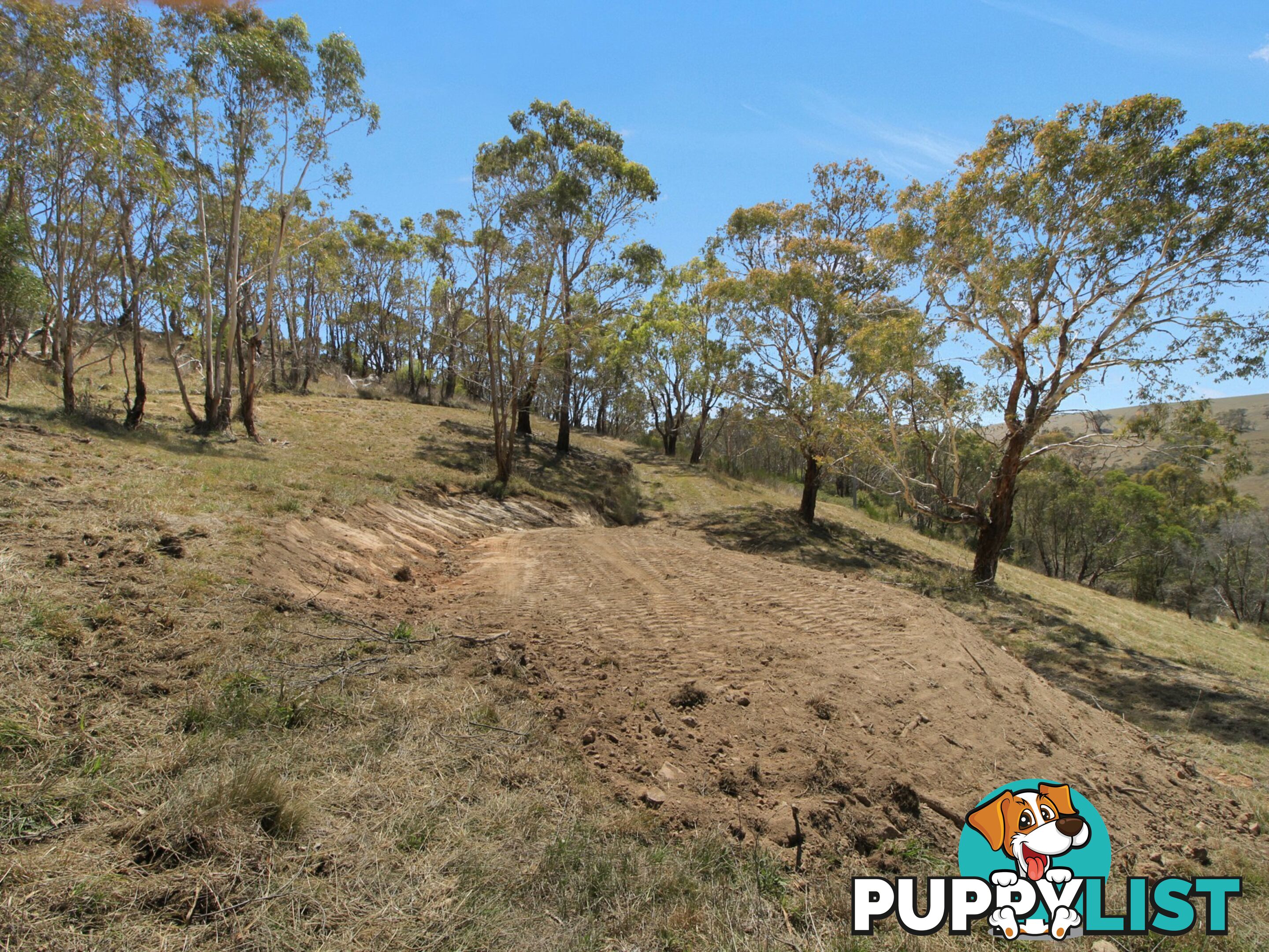 Lot 1/9320 Great Alpine Road OMEO VIC 3898