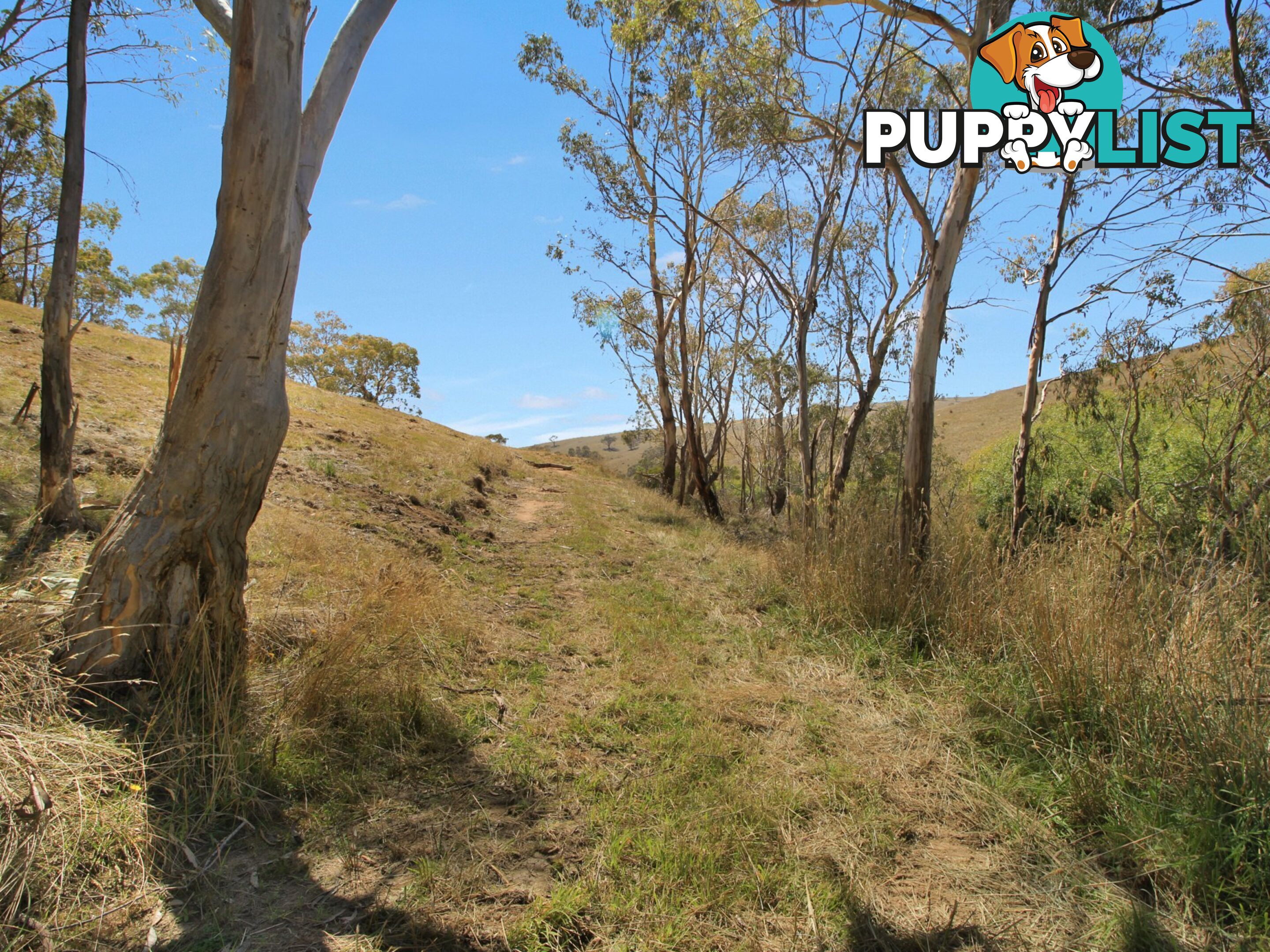 Lot 1/9320 Great Alpine Road OMEO VIC 3898