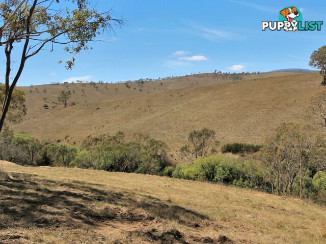 Lot 1/9320 Great Alpine Road OMEO VIC 3898