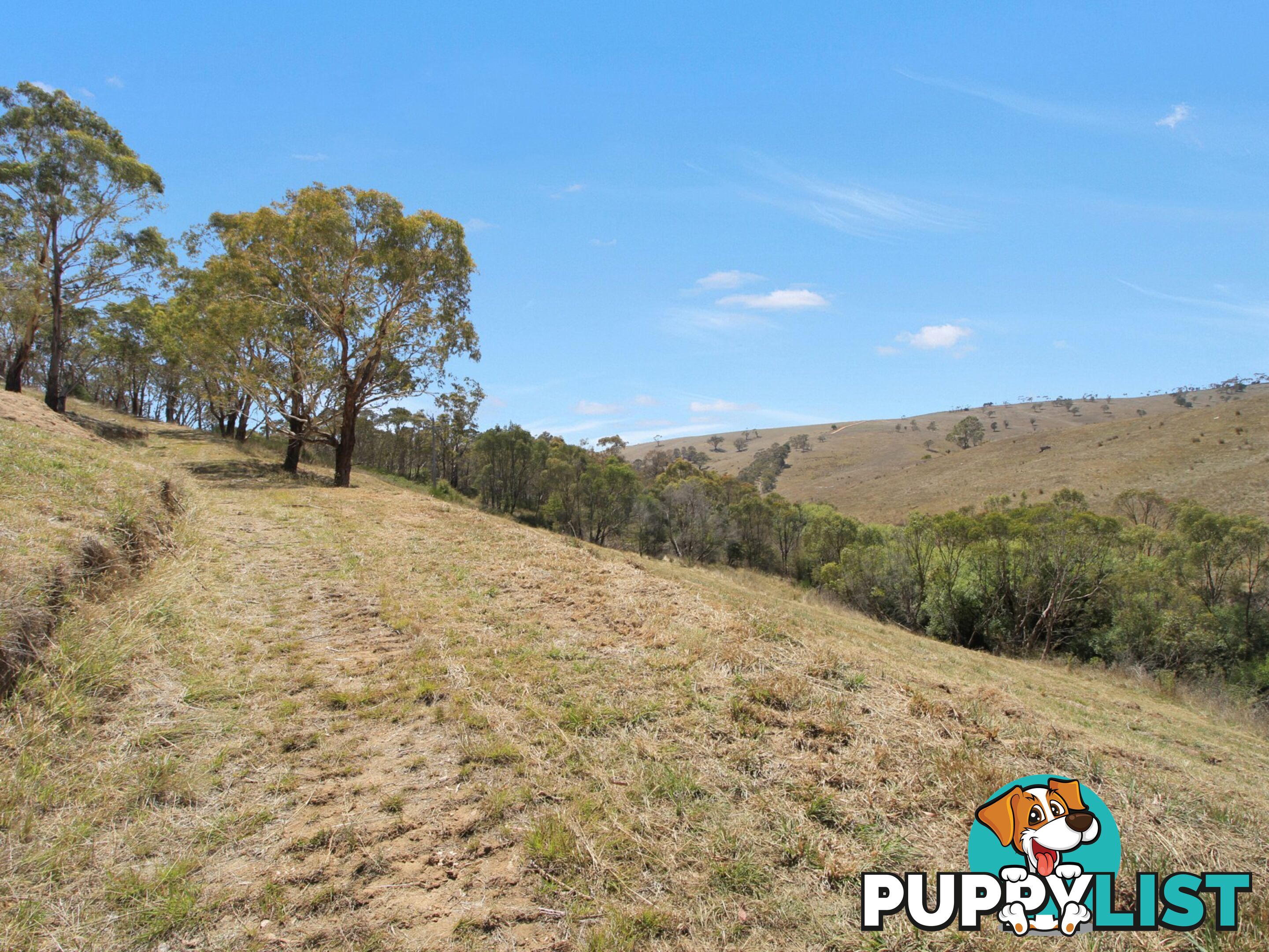 Lot 1/9320 Great Alpine Road OMEO VIC 3898