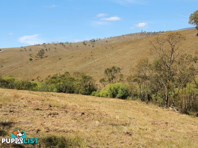 Lot 1/9320 Great Alpine Road OMEO VIC 3898