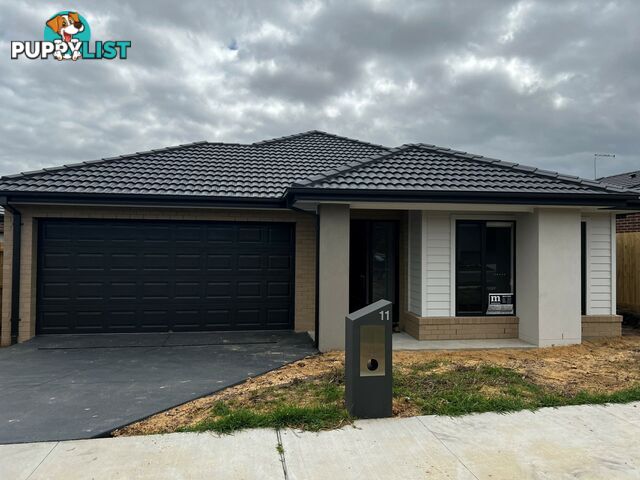 11 Camden Street LUCKNOW VIC 3875