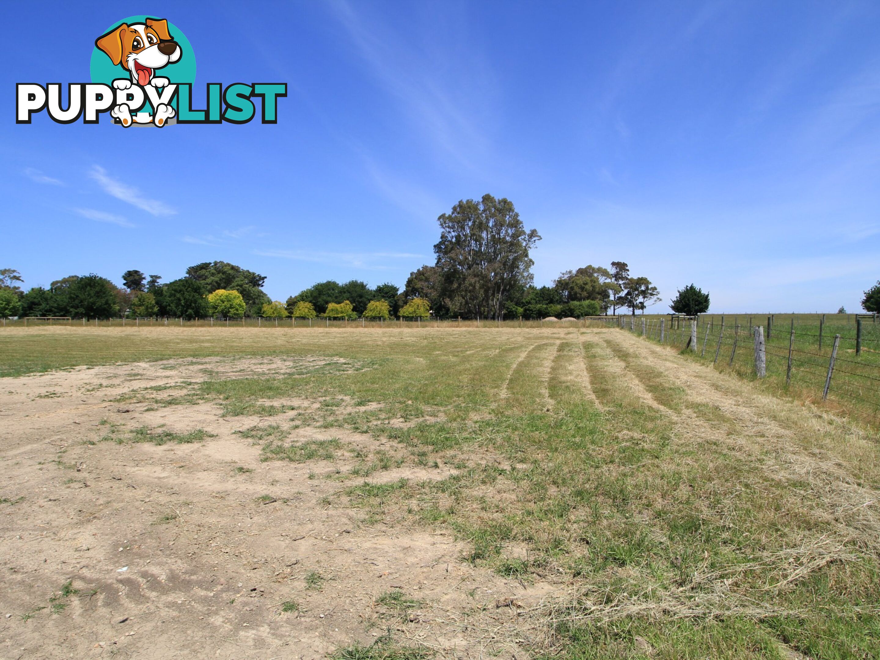 116 Crooke Street EAST BAIRNSDALE VIC 3875