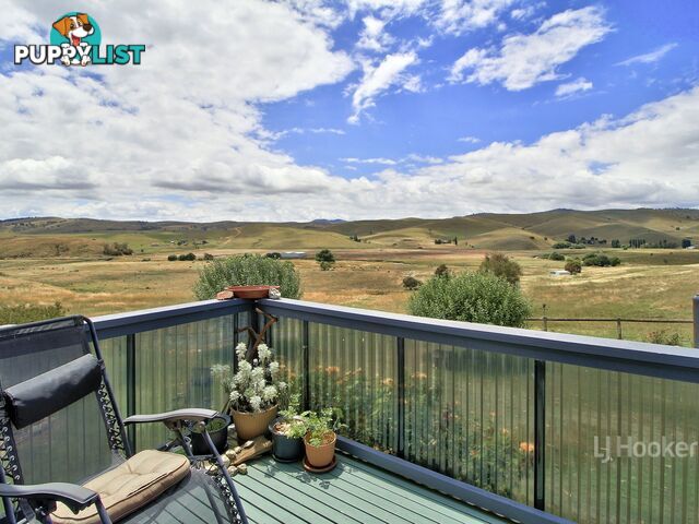 312 Omeo Valley Road OMEO VIC 3898