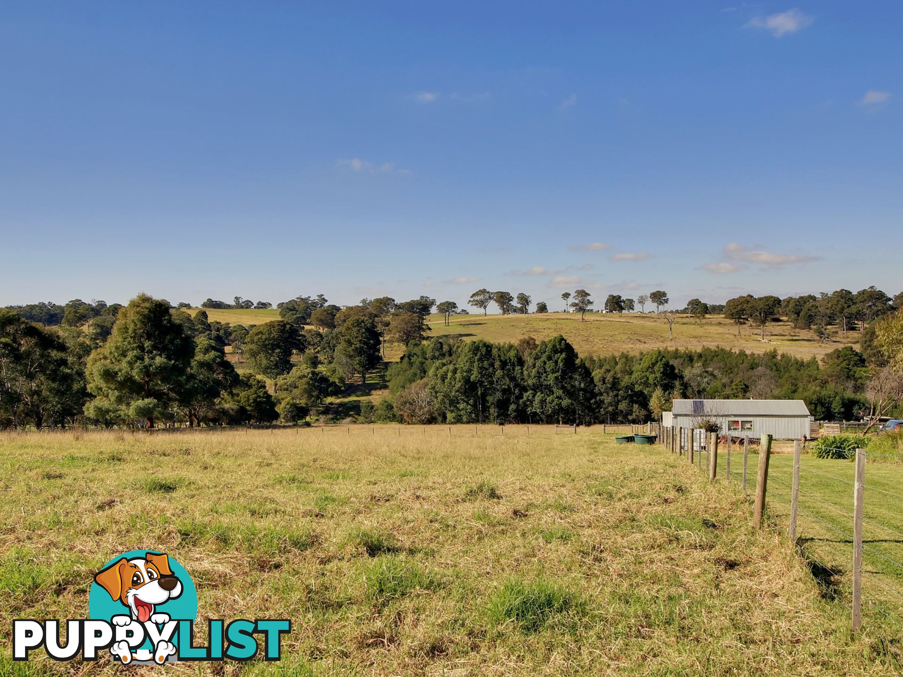 45 Salmonds Road GRANITE ROCK VIC 3875