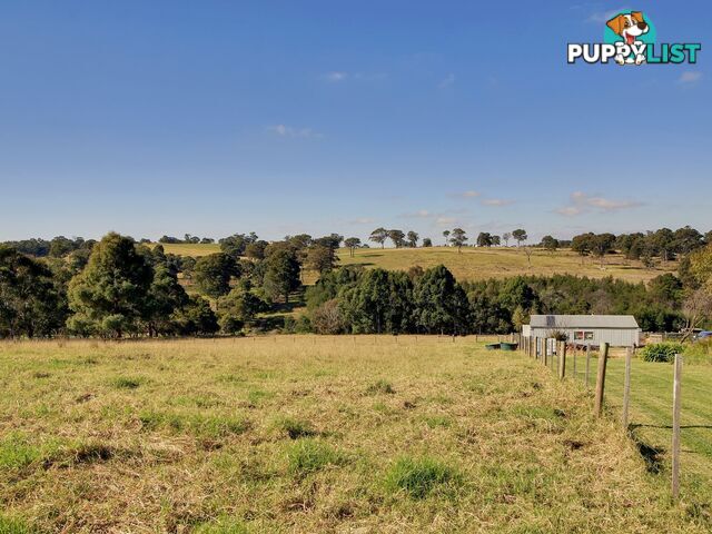 45 Salmonds Road GRANITE ROCK VIC 3875
