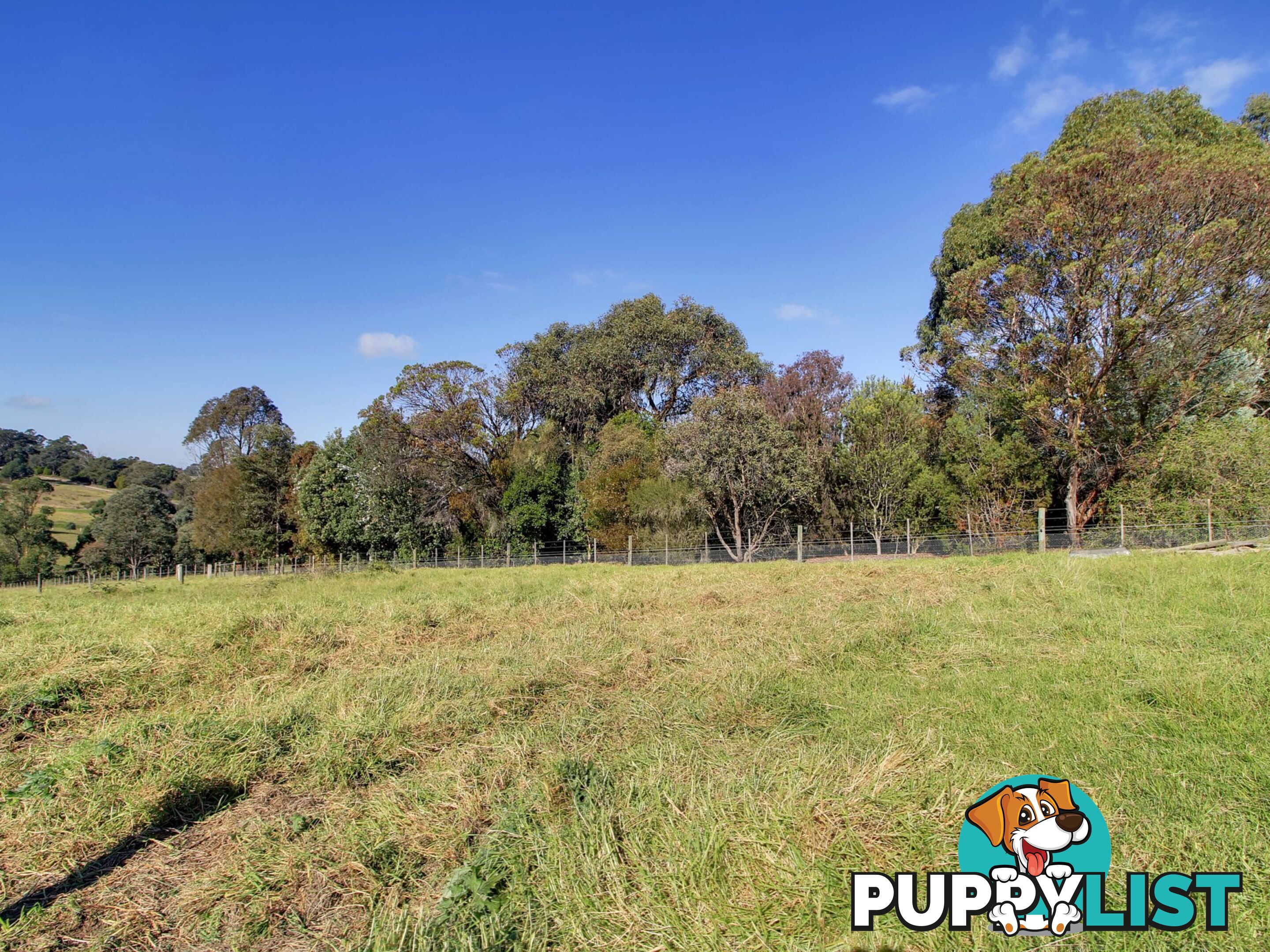 45 Salmonds Road GRANITE ROCK VIC 3875