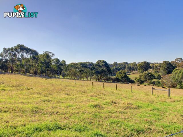 45 Salmonds Road GRANITE ROCK VIC 3875