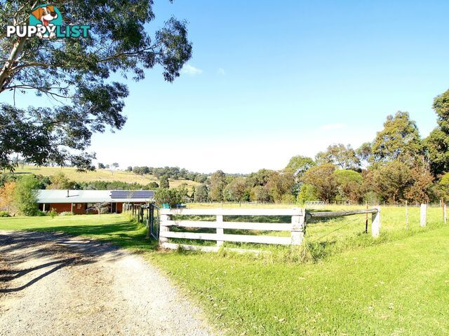 45 Salmonds Road GRANITE ROCK VIC 3875