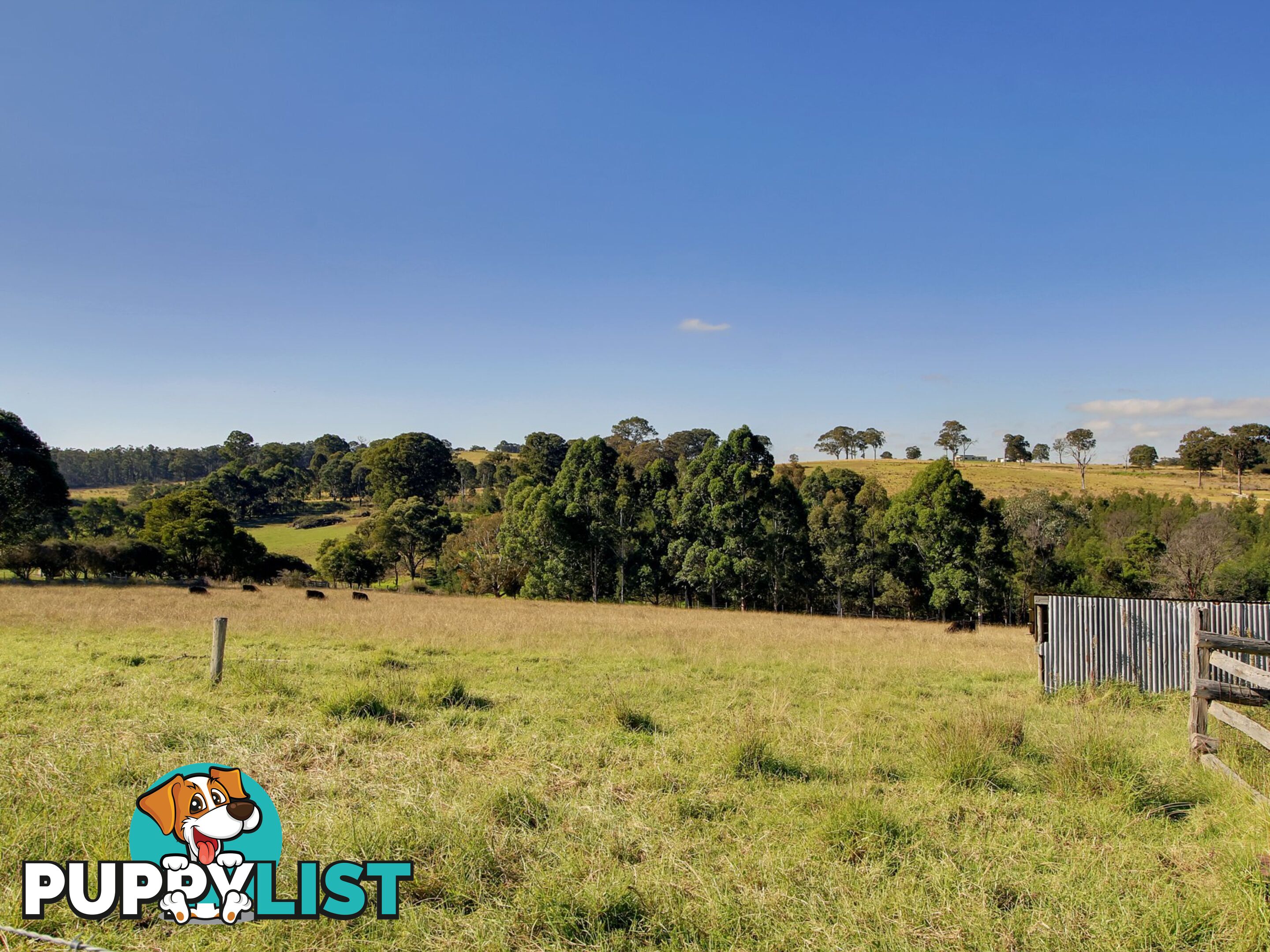 45 Salmonds Road GRANITE ROCK VIC 3875