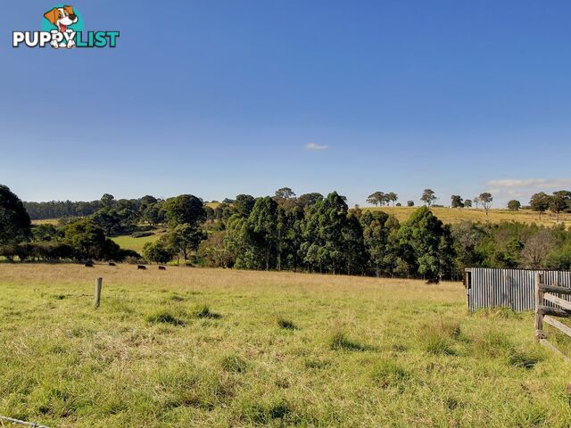 45 Salmonds Road GRANITE ROCK VIC 3875