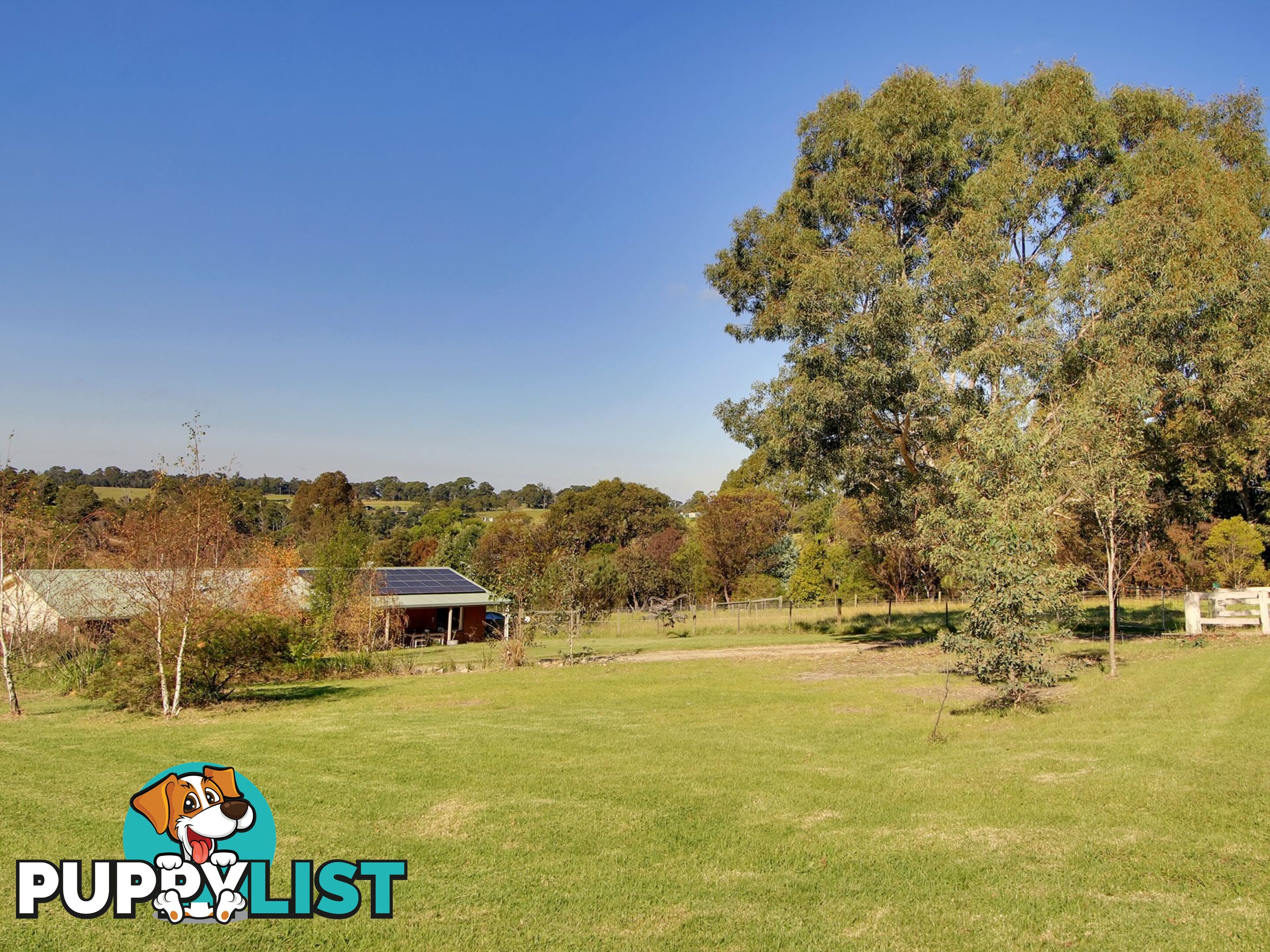 45 Salmonds Road GRANITE ROCK VIC 3875