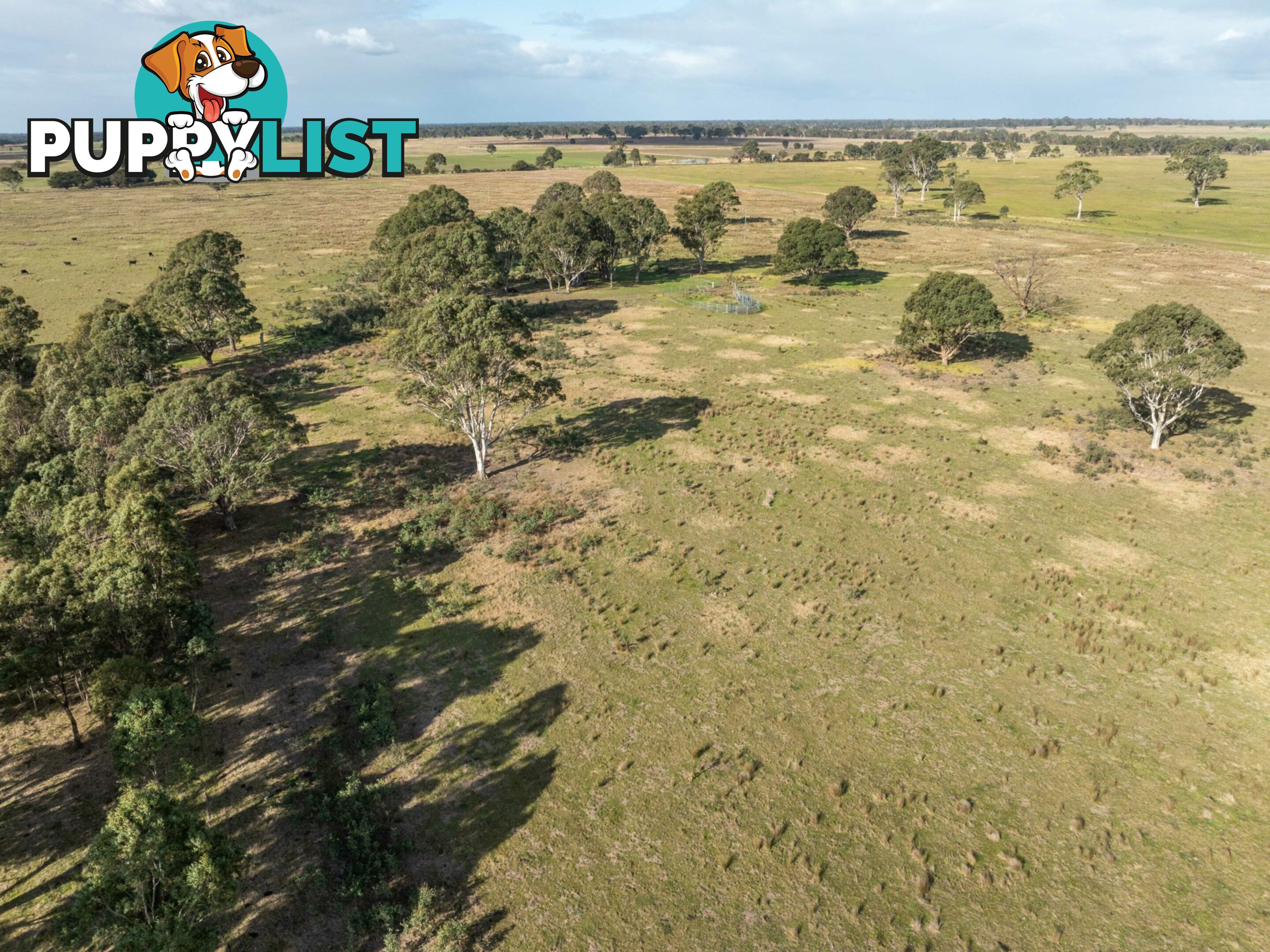 Lot 2/488A Bengworden Road BAIRNSDALE VIC 3875