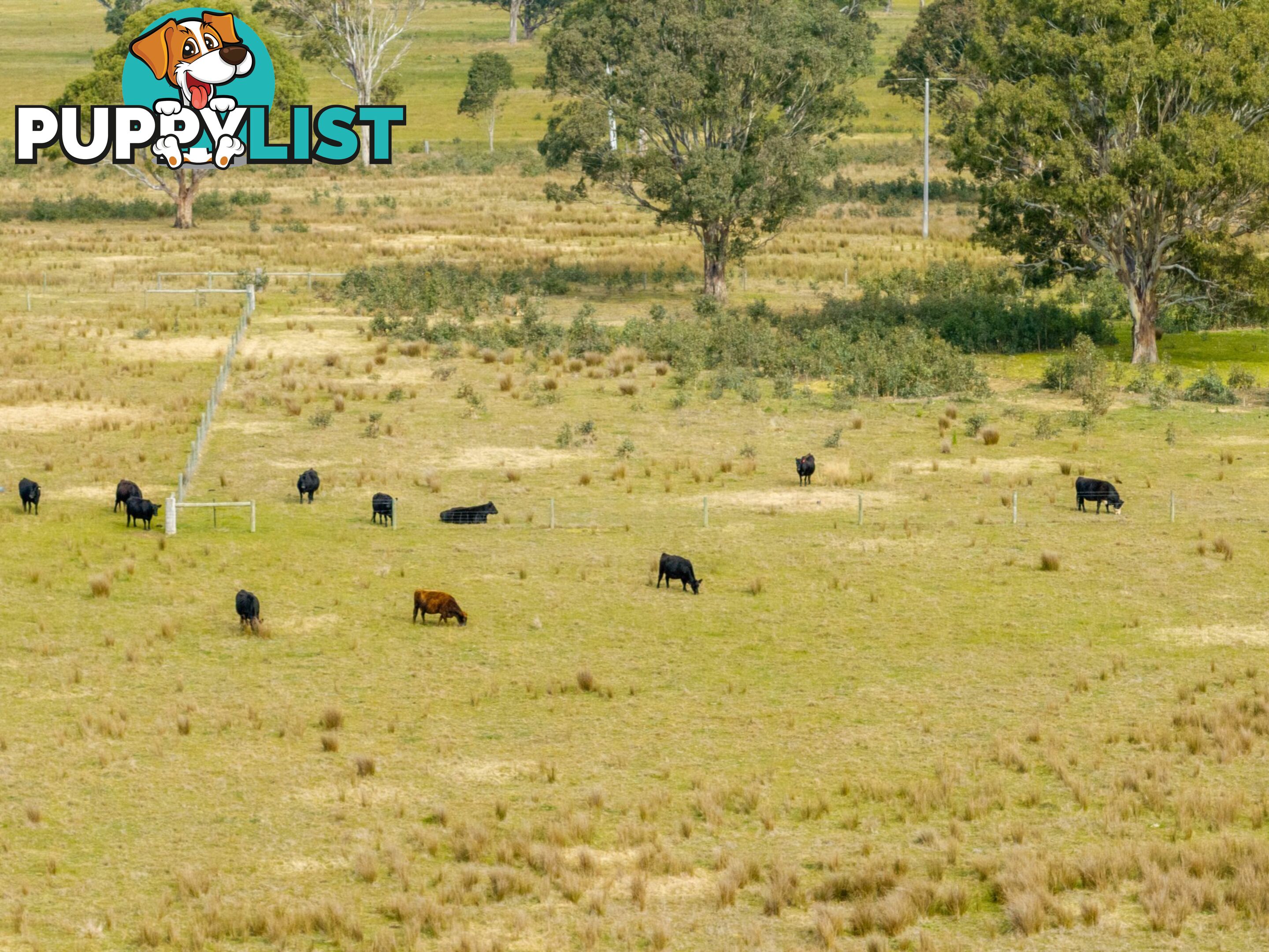 Lot 2/488A Bengworden Road BAIRNSDALE VIC 3875