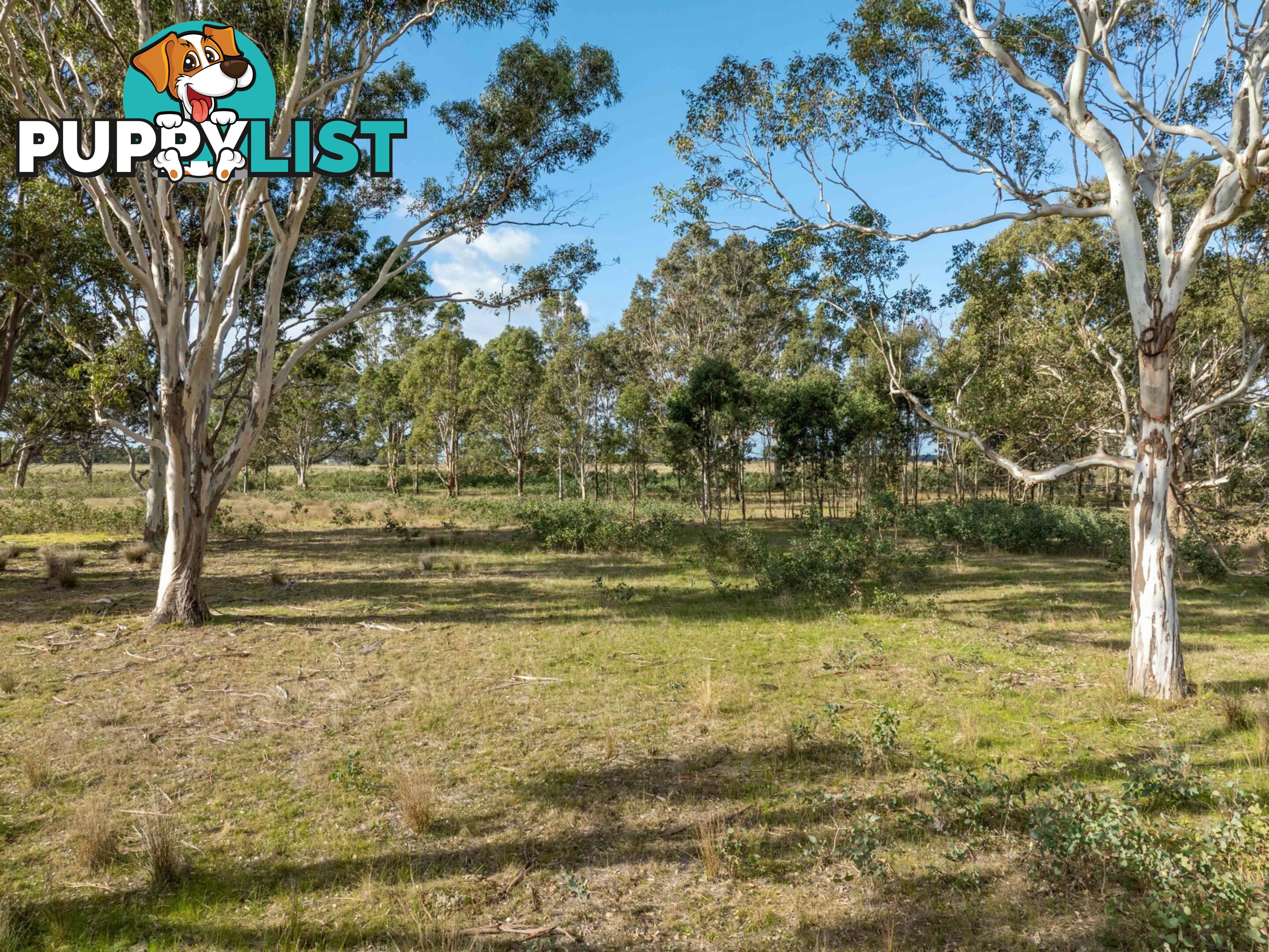 Lot 2/488A Bengworden Road BAIRNSDALE VIC 3875