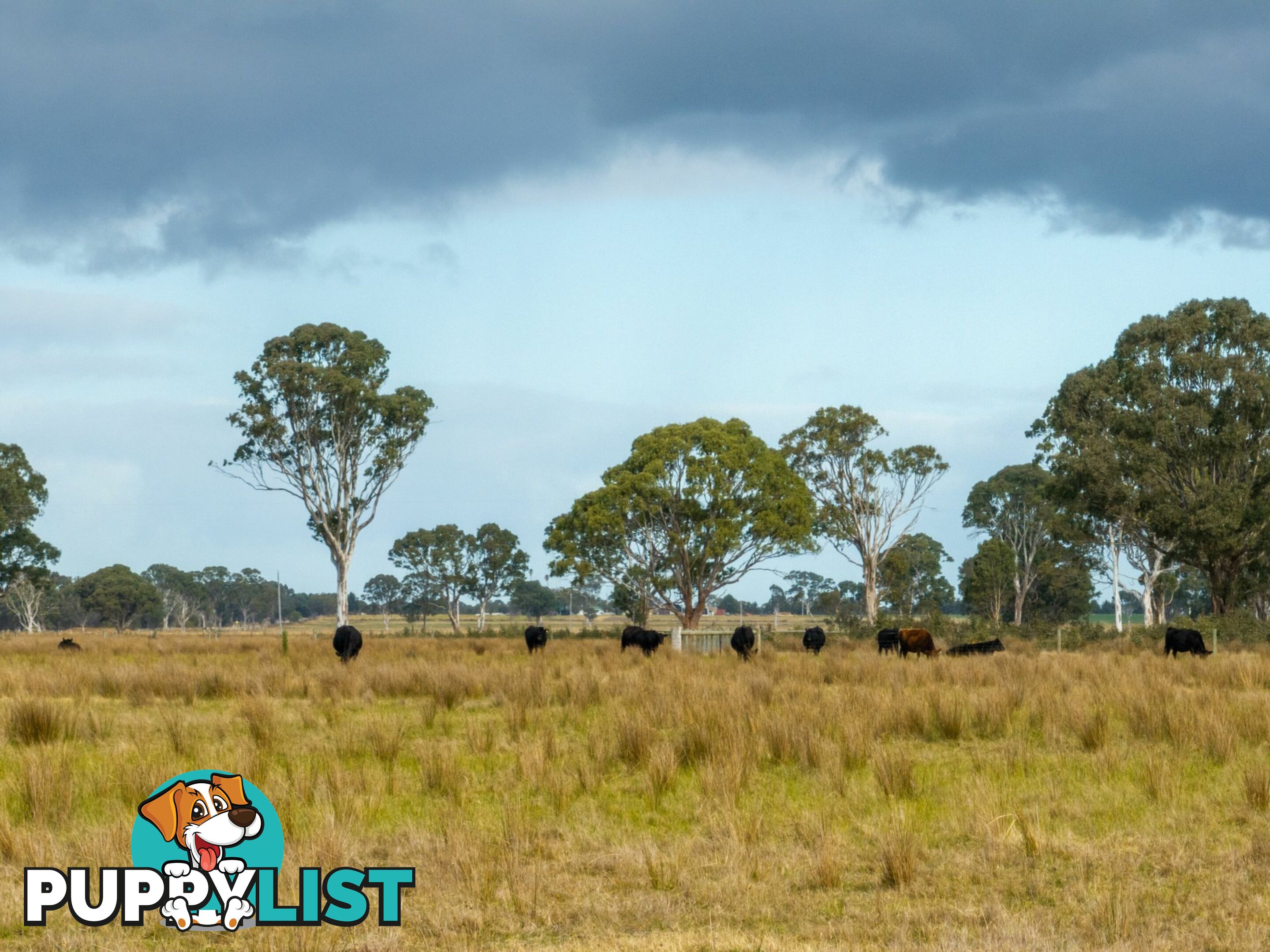 Lot 2/488A Bengworden Road BAIRNSDALE VIC 3875