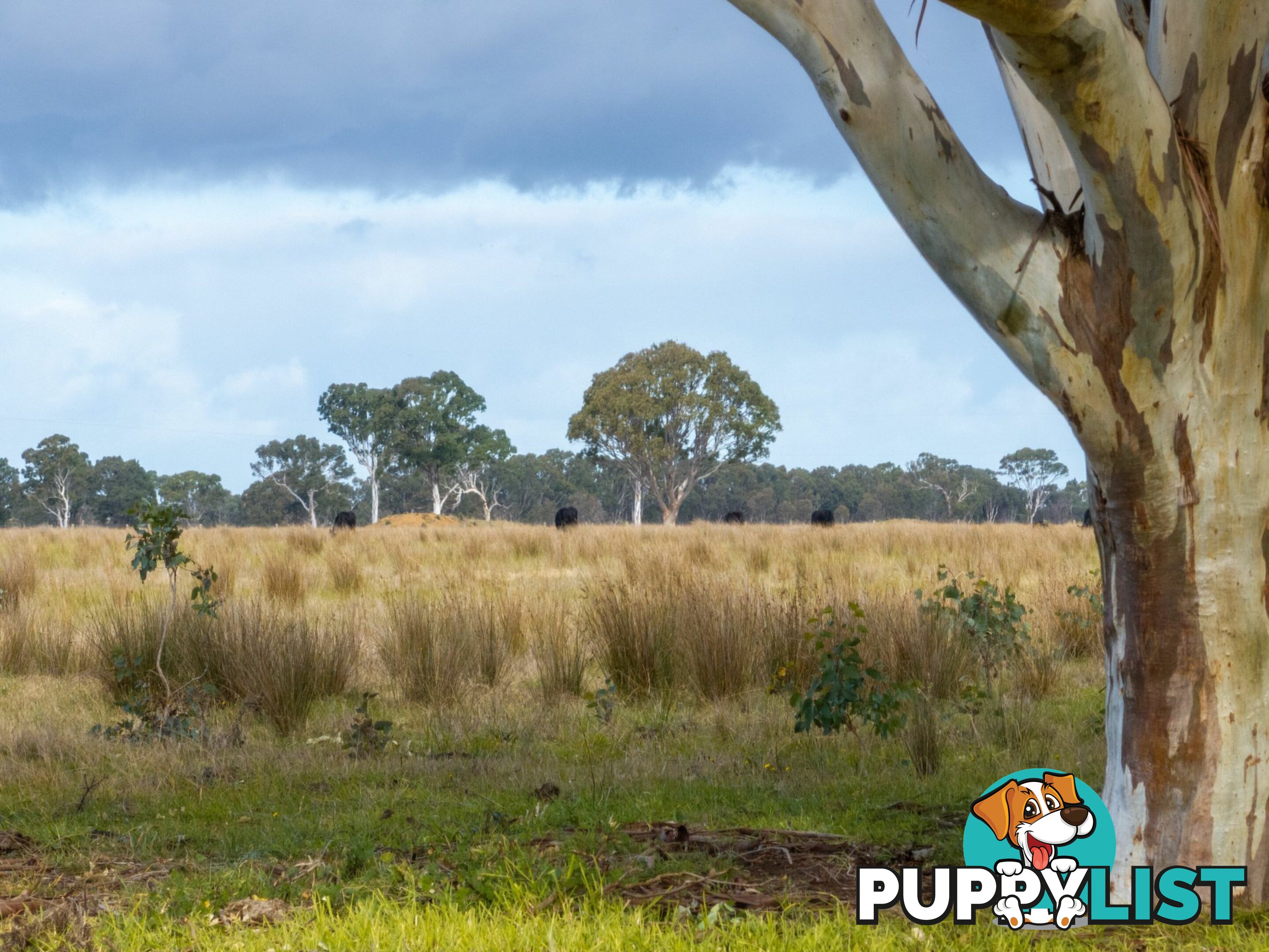 Lot 2/488A Bengworden Road BAIRNSDALE VIC 3875