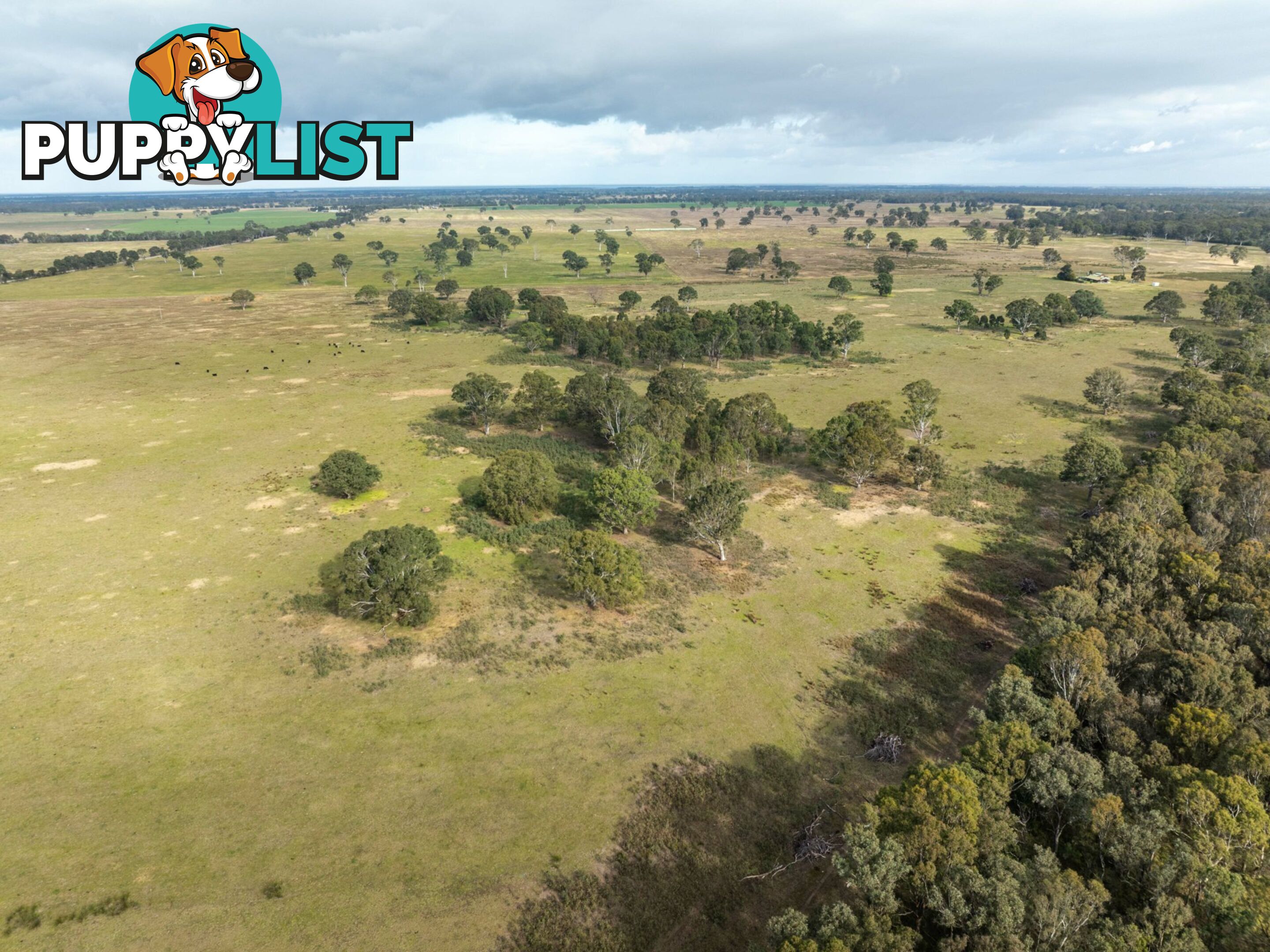 Lot 2/488A Bengworden Road BAIRNSDALE VIC 3875