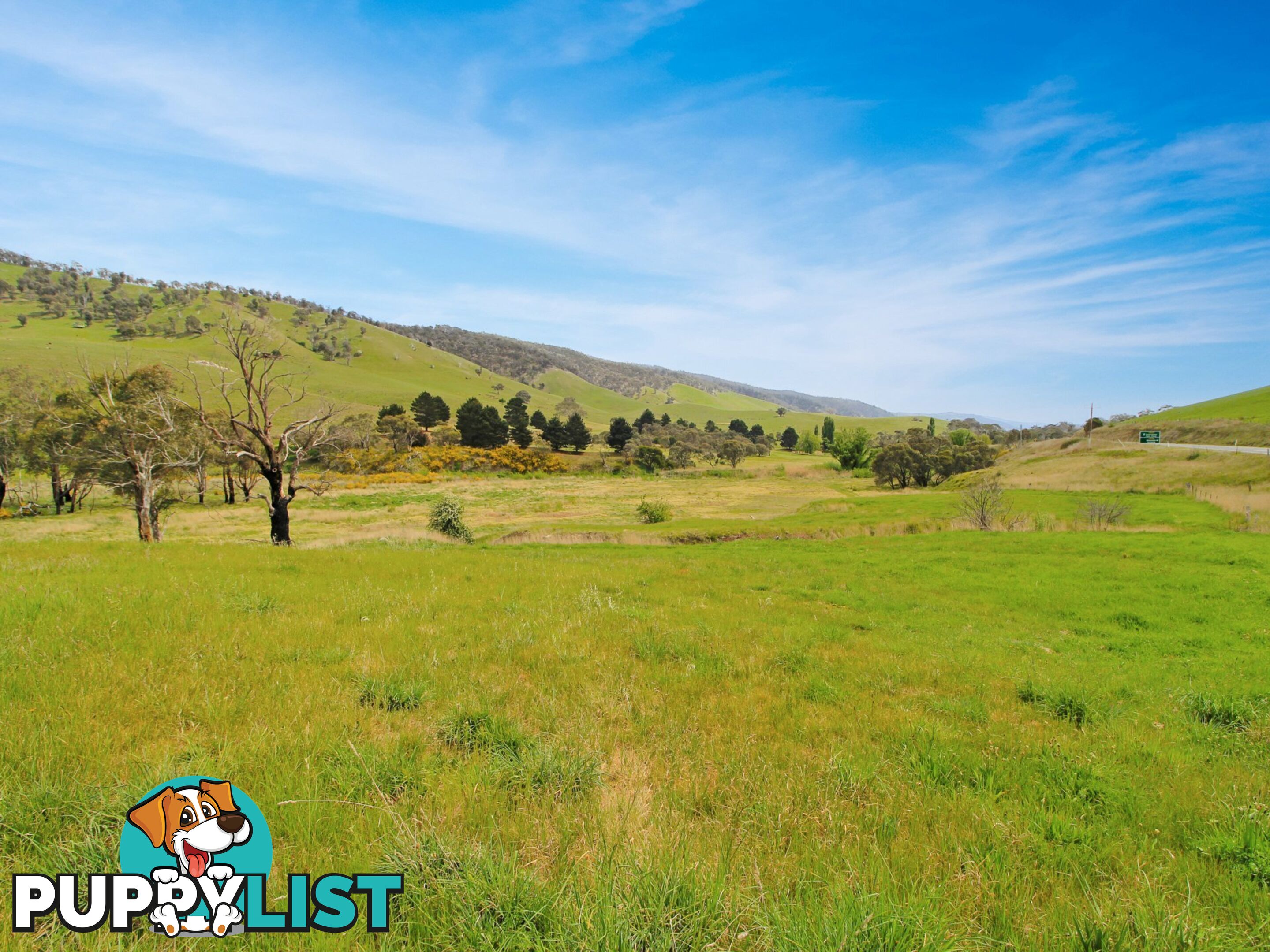 303 Omeo Highway OMEO VIC 3898