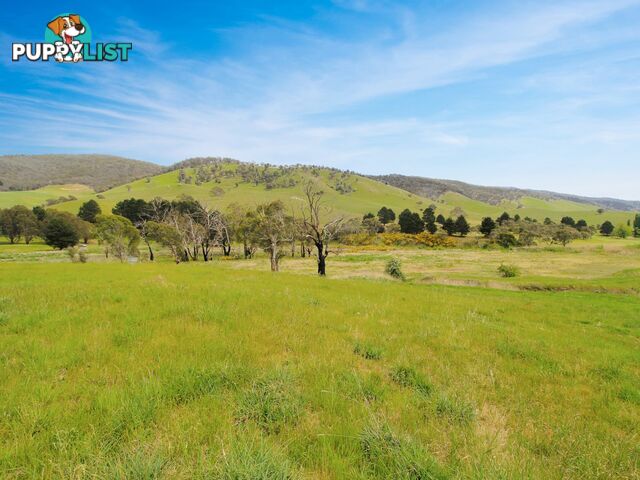 303 Omeo Highway OMEO VIC 3898