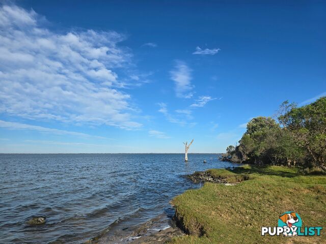 8 Bream Avenue HOLLANDS LANDING VIC 3862