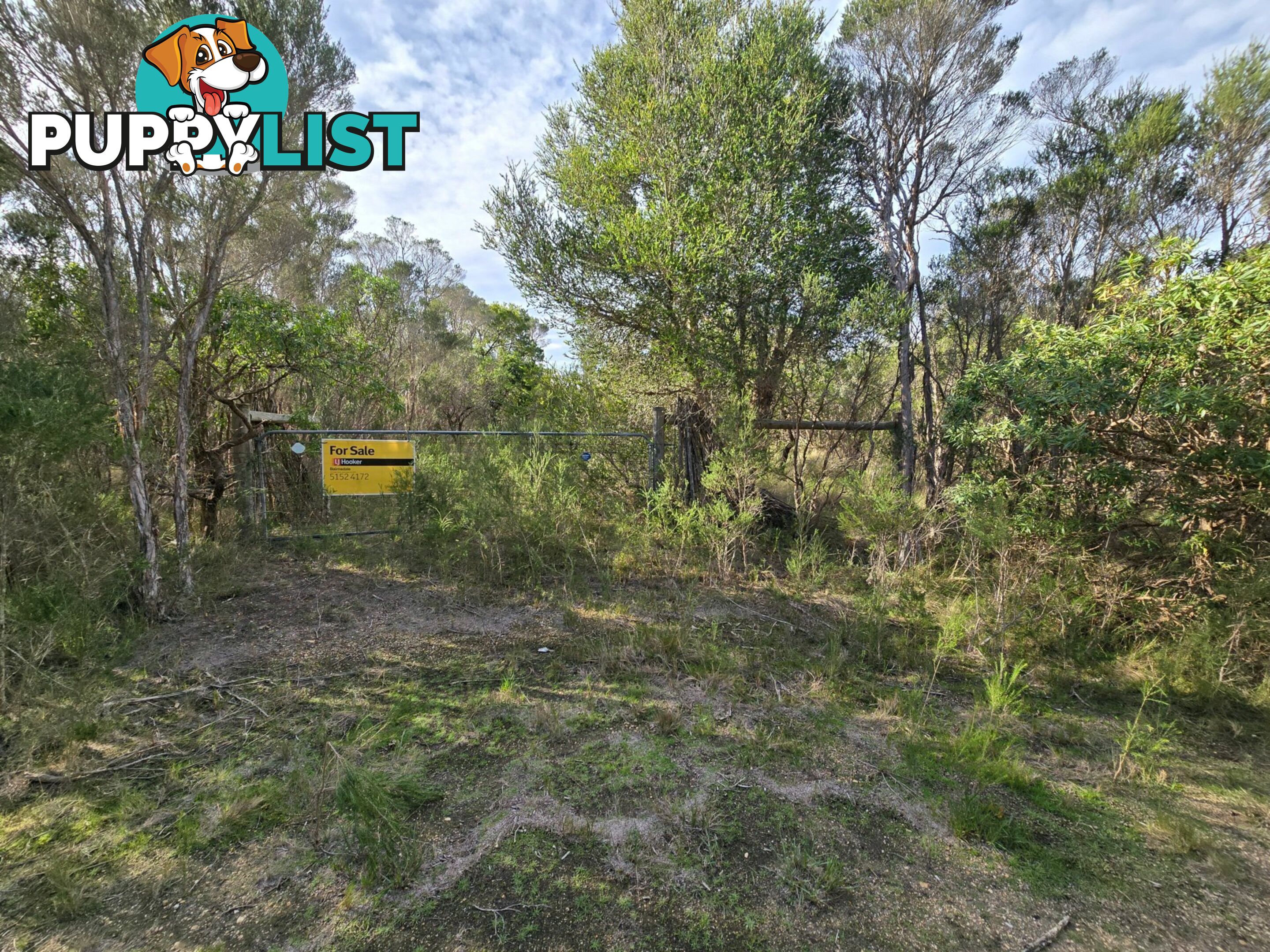 8 Bream Avenue HOLLANDS LANDING VIC 3862