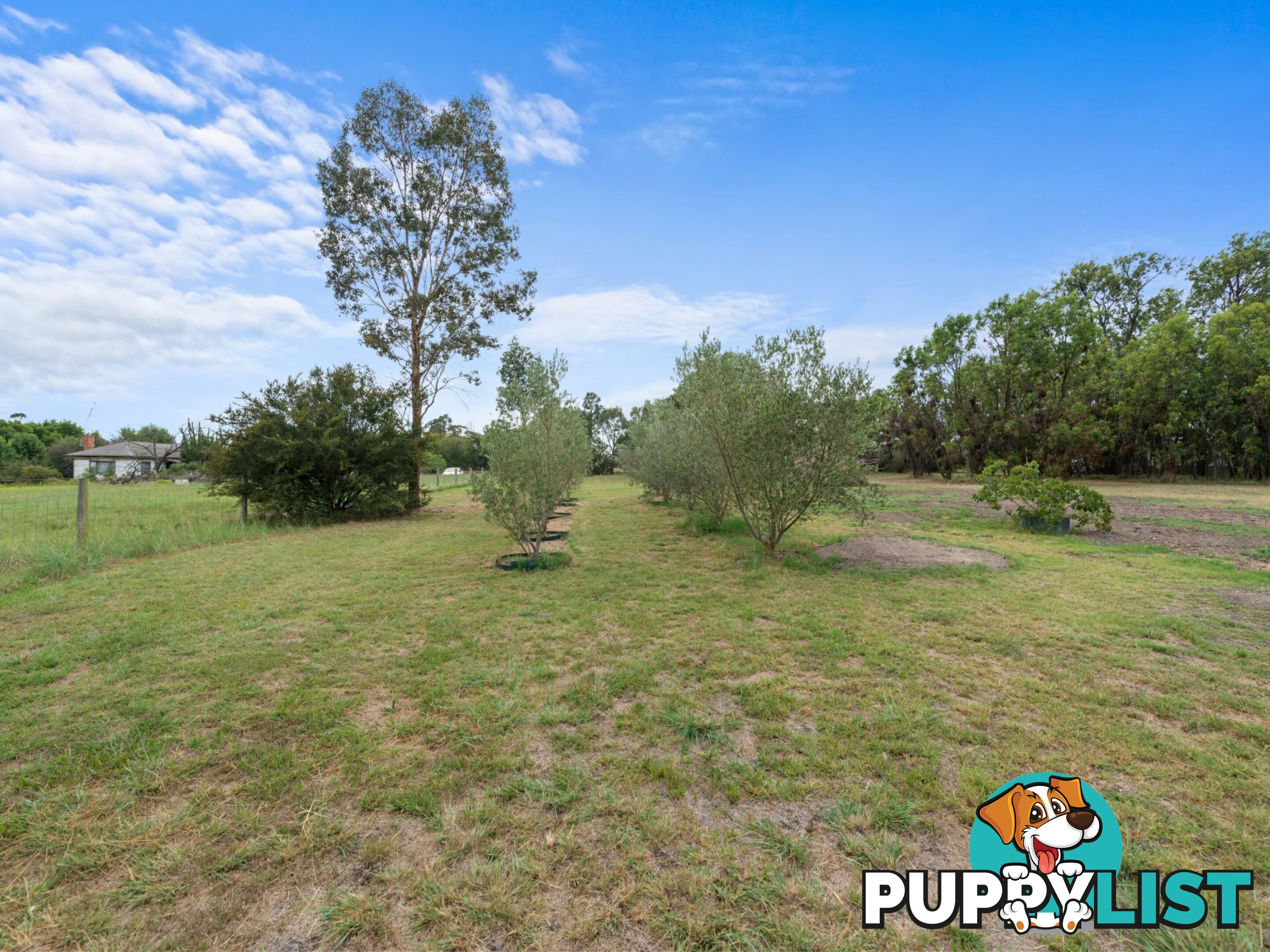 572 Lindenow Glenaladale Road LINDENOW SOUTH VIC 3875