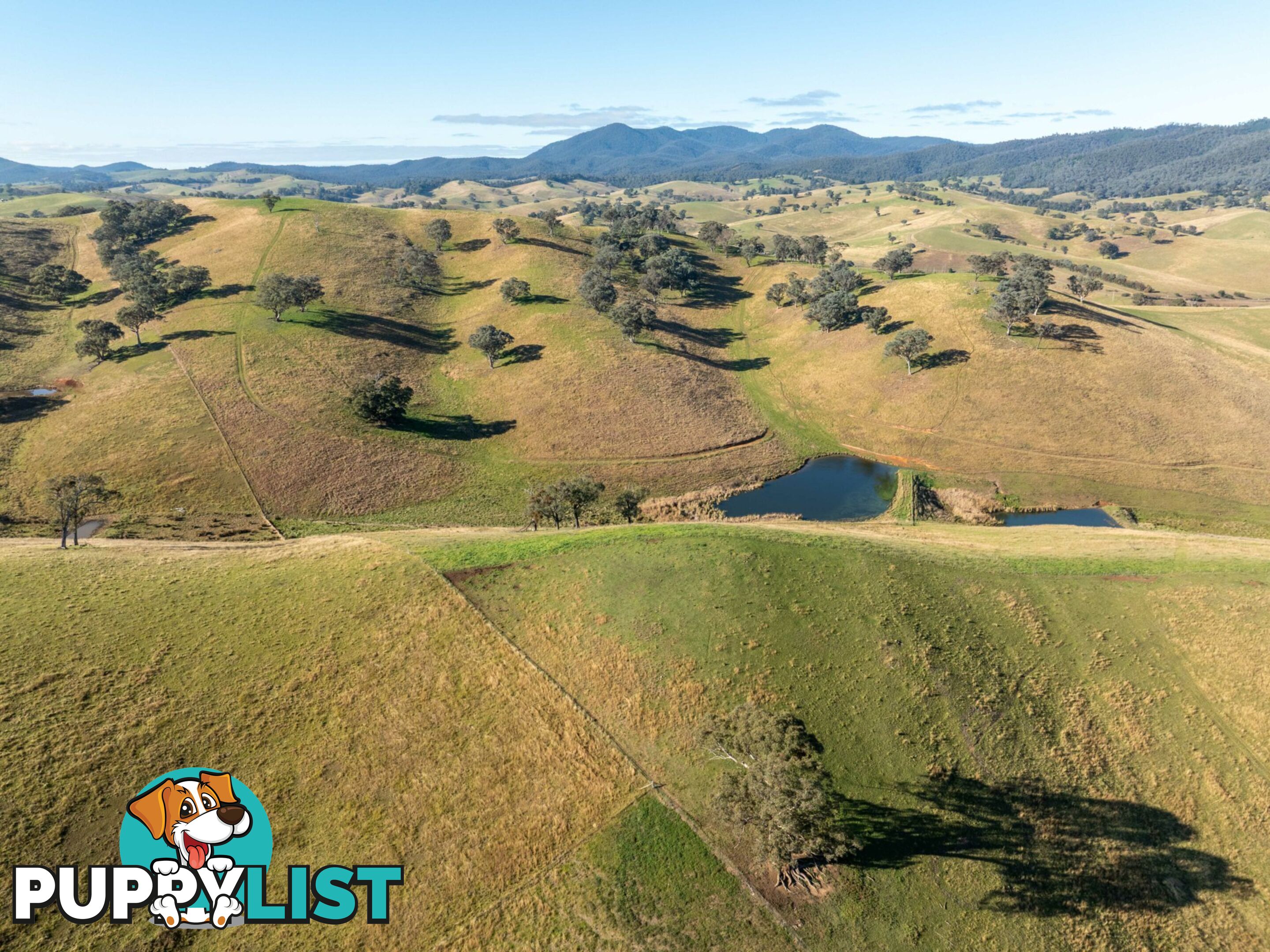 Lot 5 Sandy Creek Road REEDY FLAT VIC 3895